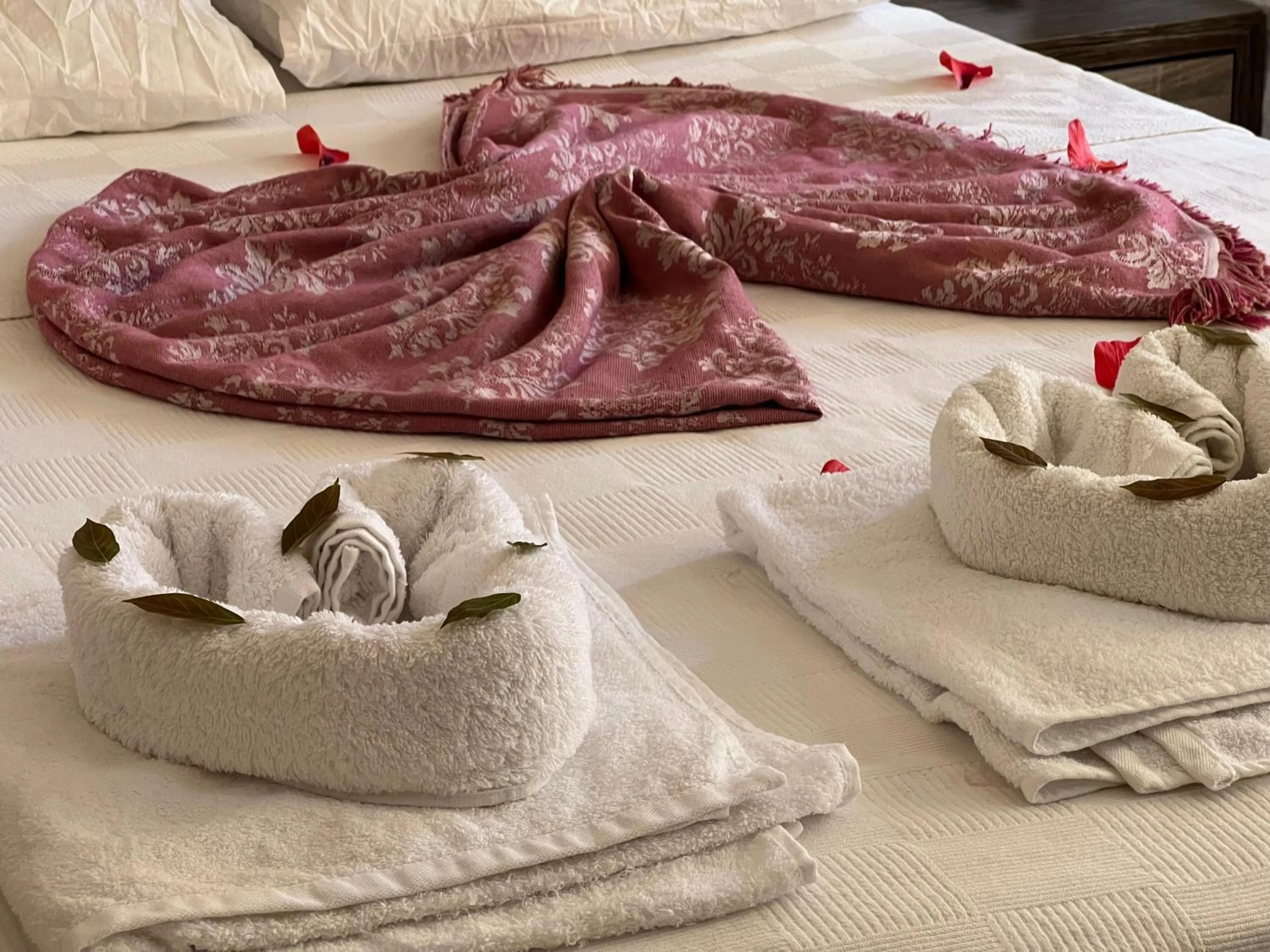 Photo of the whole room in Selinus Beach Club Hotel