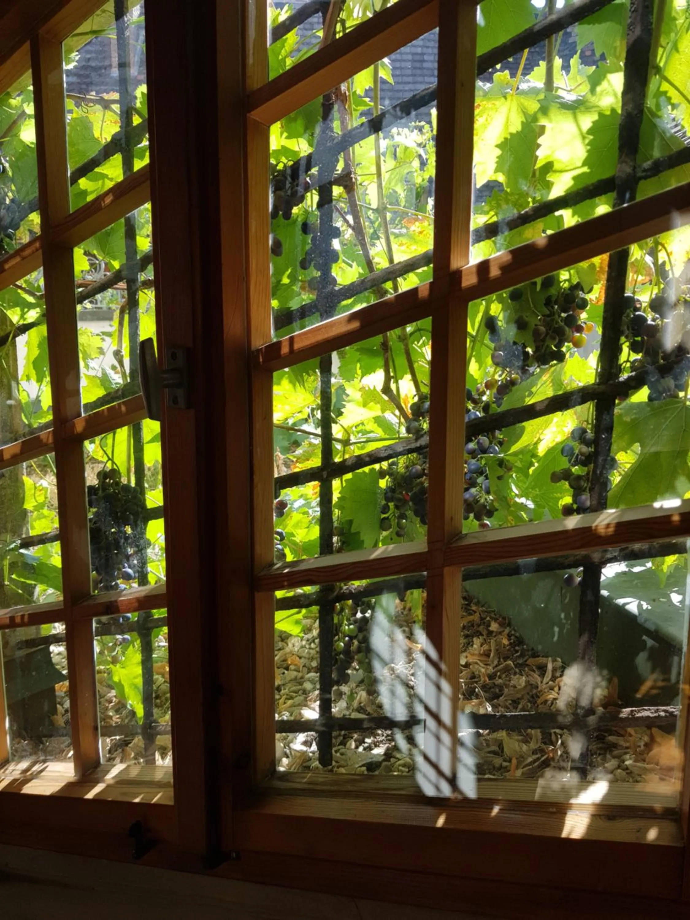 Nearby landmark in Hotel Restaurant Toscana Naumburg