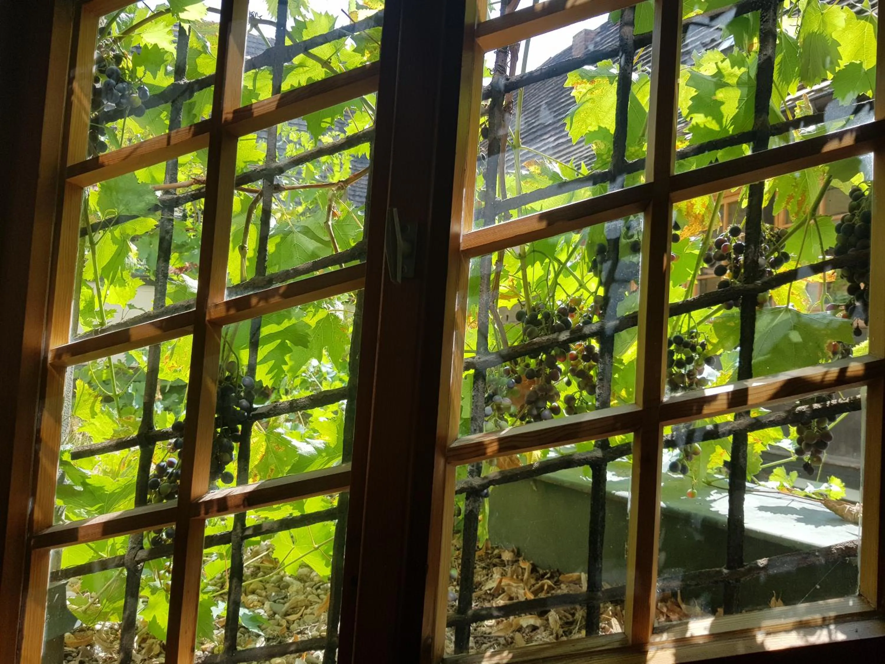 Property building in Hotel Restaurant Toscana Naumburg