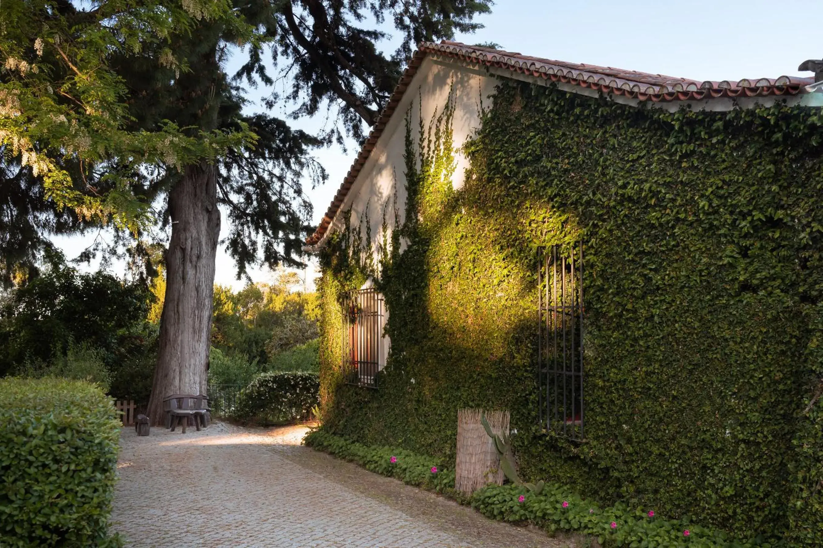 Property building in Imani Country House Property building in Imani Country House