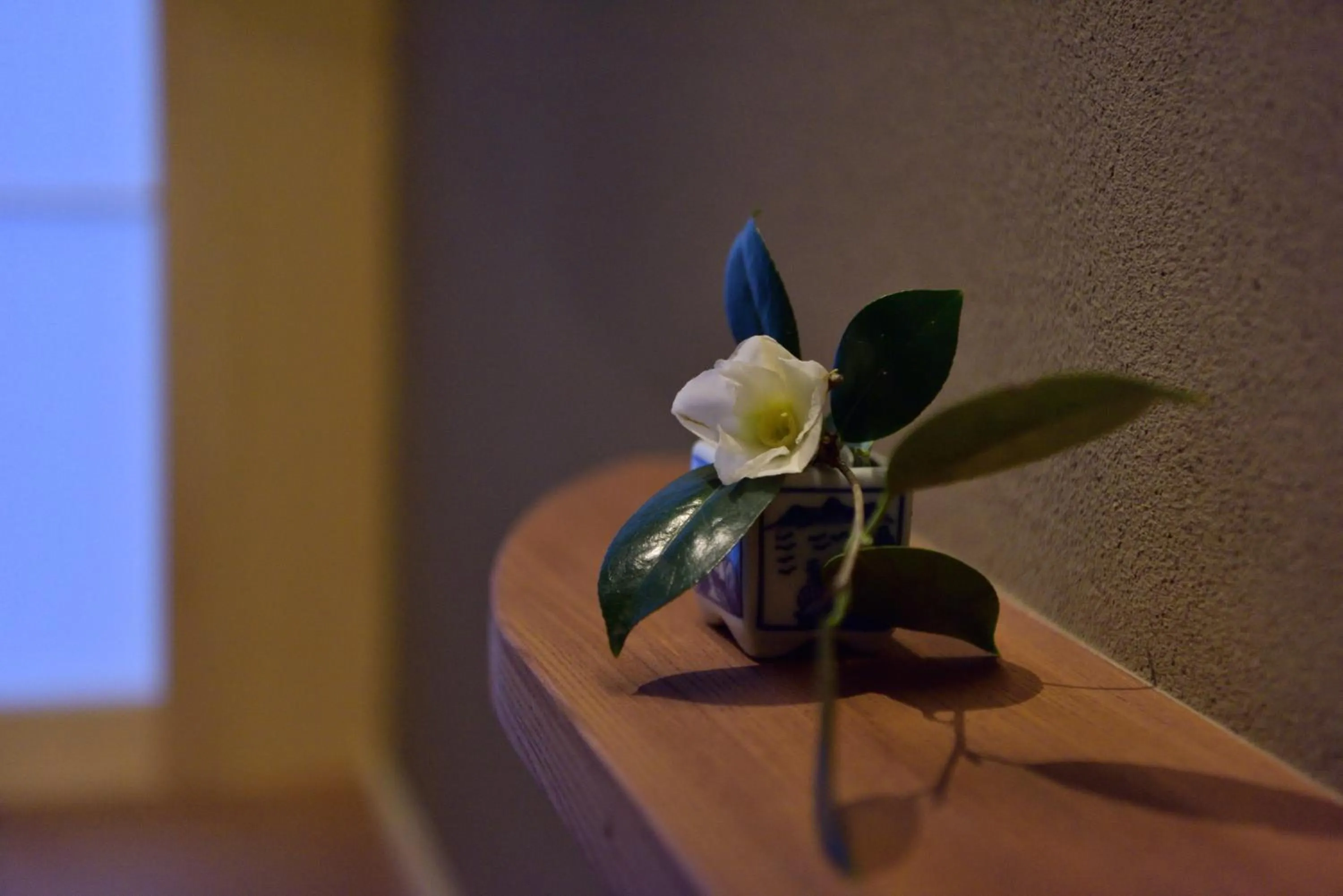 Other in Miun Kinkaku-ji