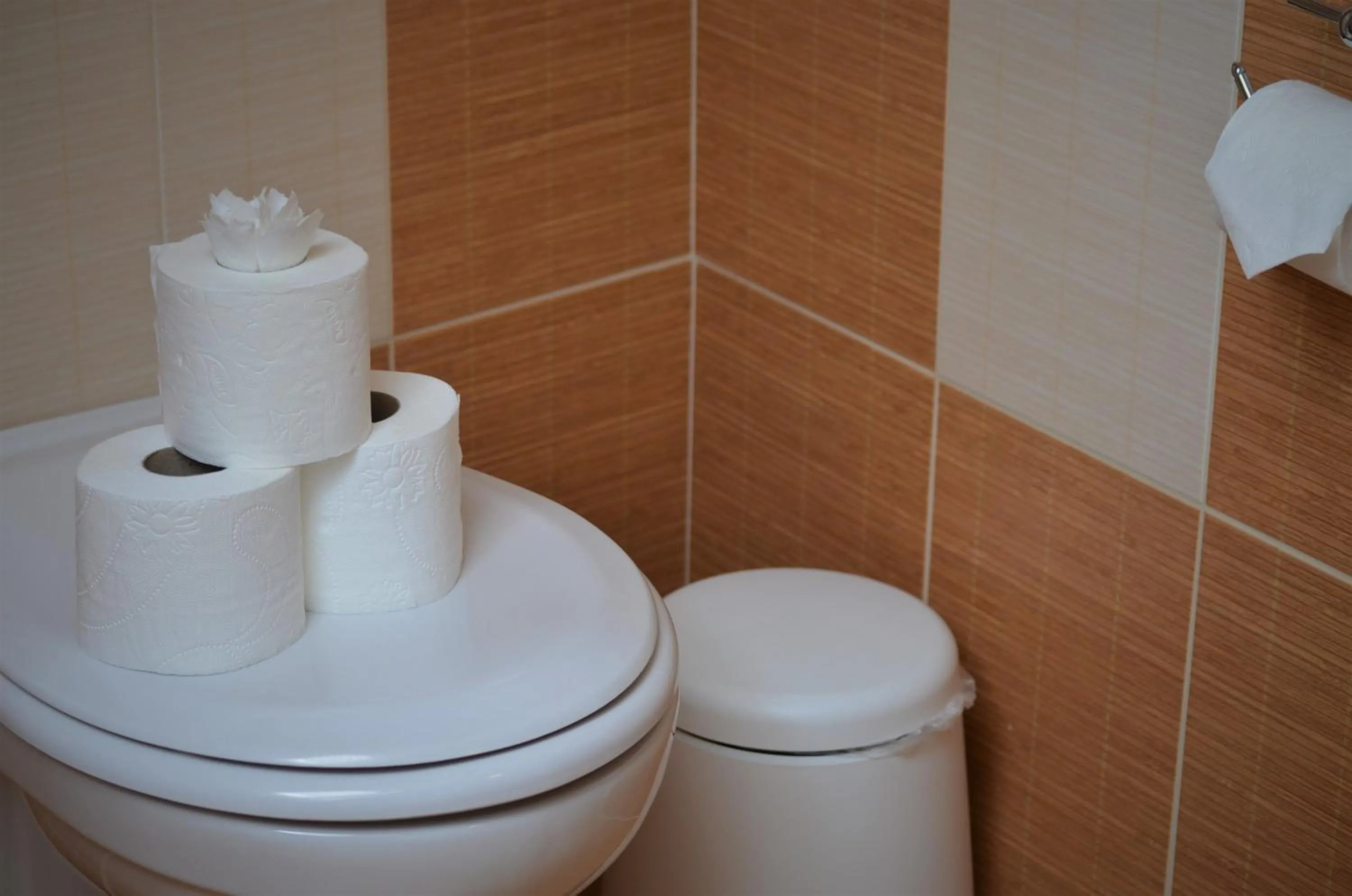 Toilet in Pension Vyhlídka