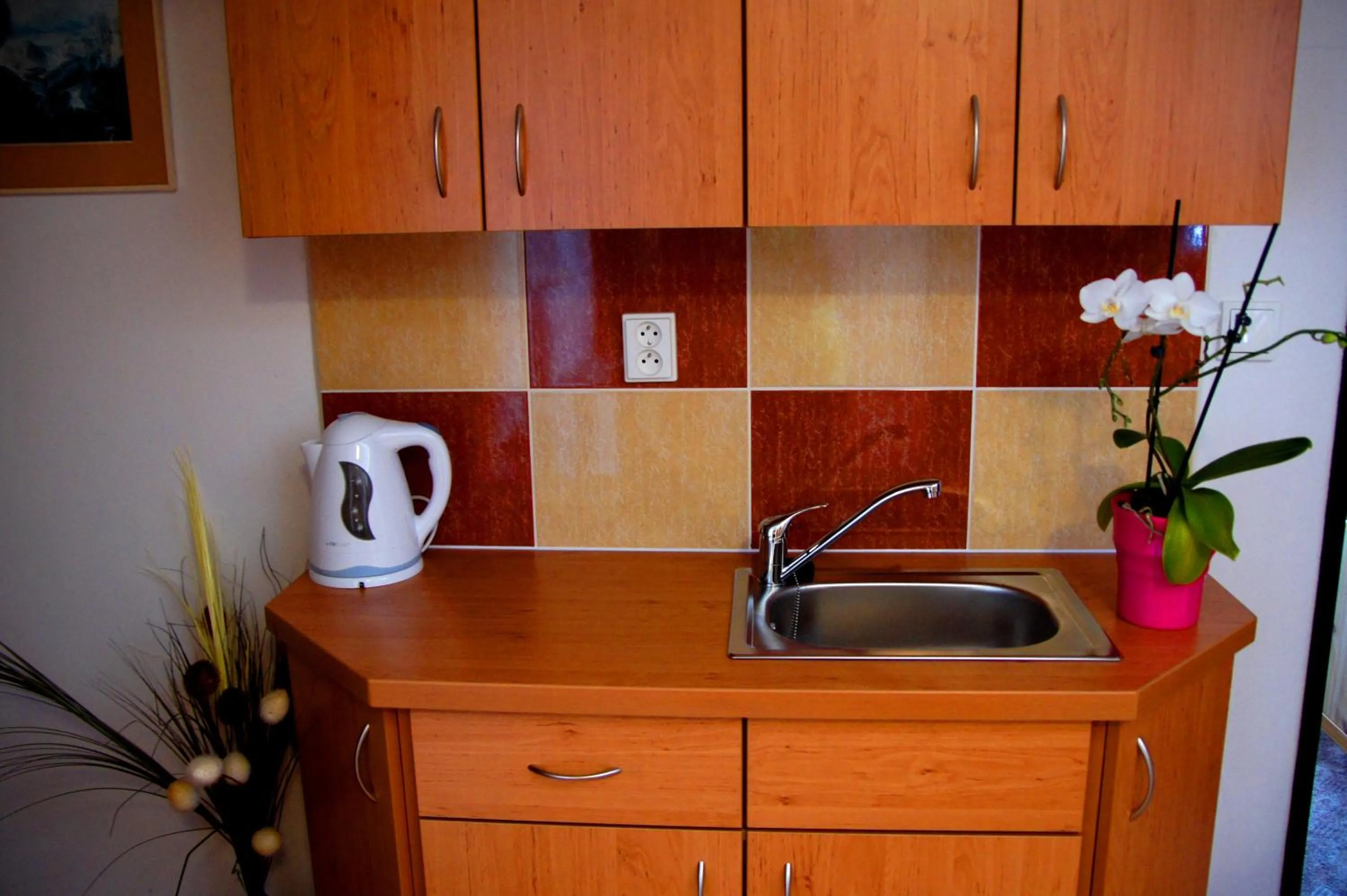 Coffee/tea facilities in Pension Vyhlídka