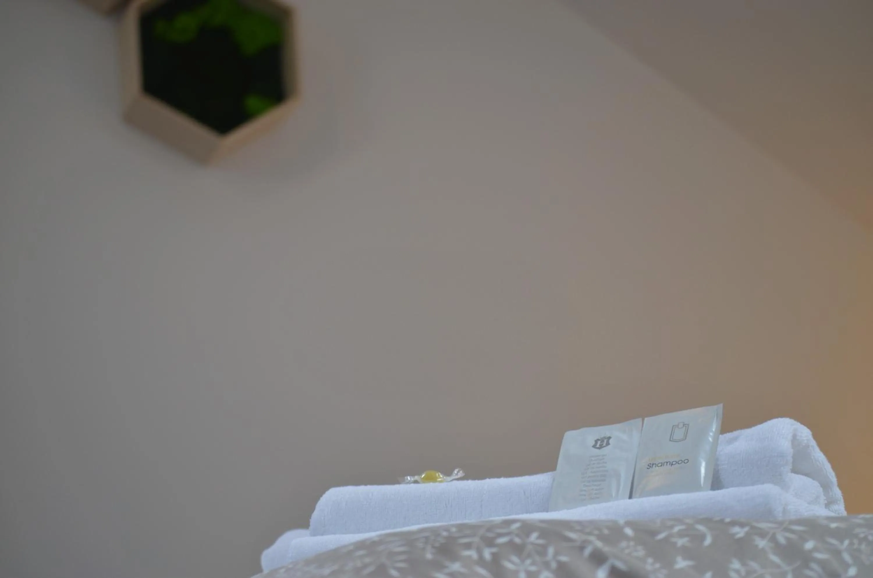Decorative detail, Bed in Pension Vyhlídka