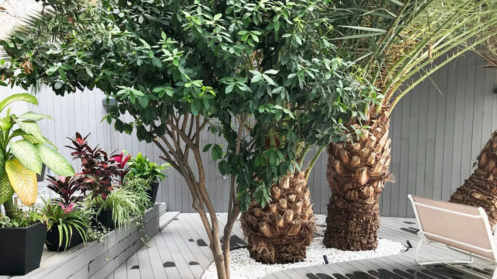 Garden in Calypso Boutique Apartments - Ceased Trading