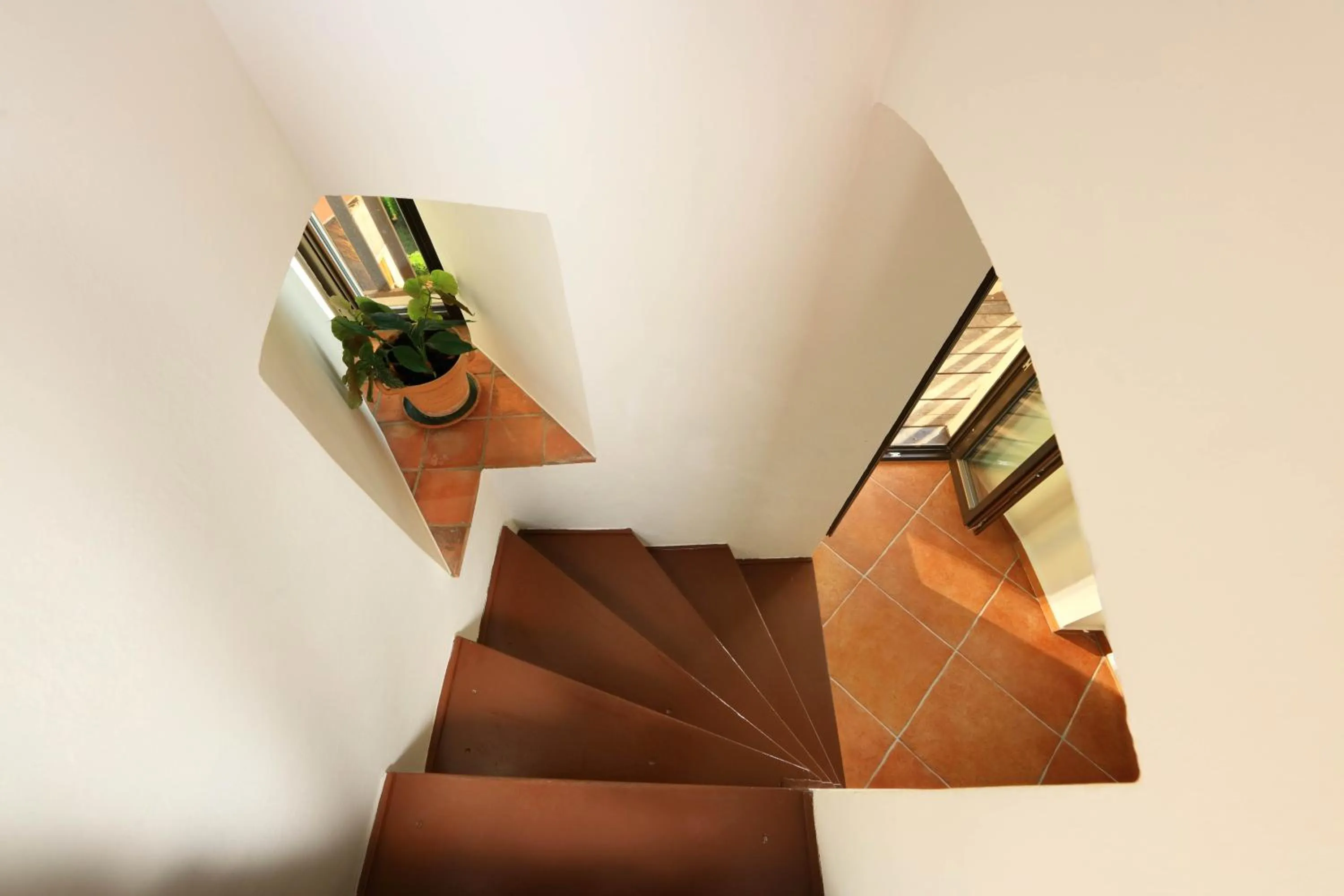 Garden in Pension Teddy