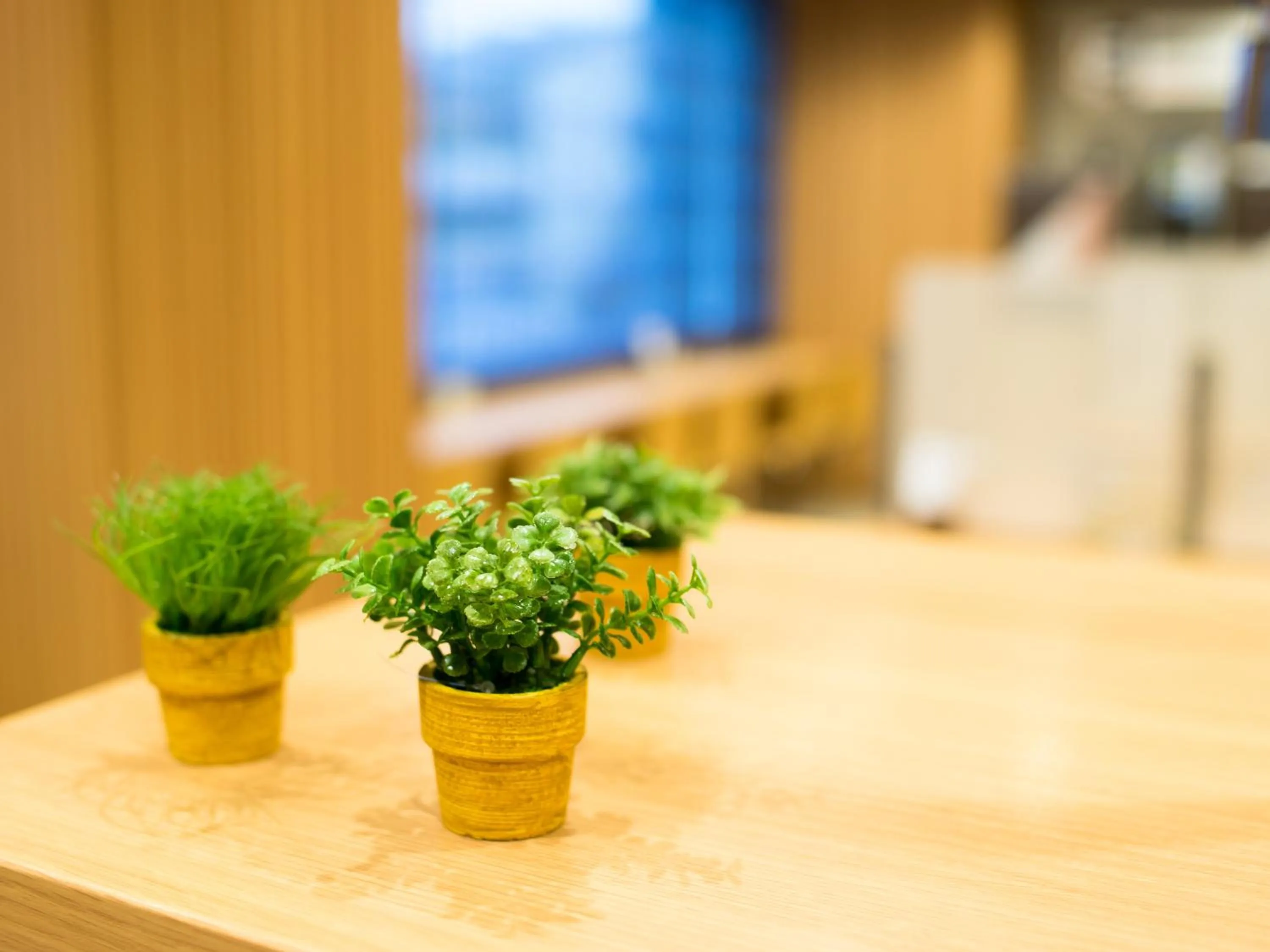 Super Hotel Kyoto Karasuma Gojo