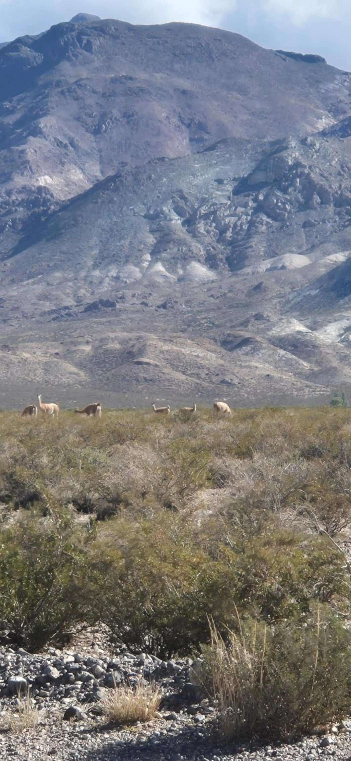 Natural landscape in Hotel boutique pukarainca