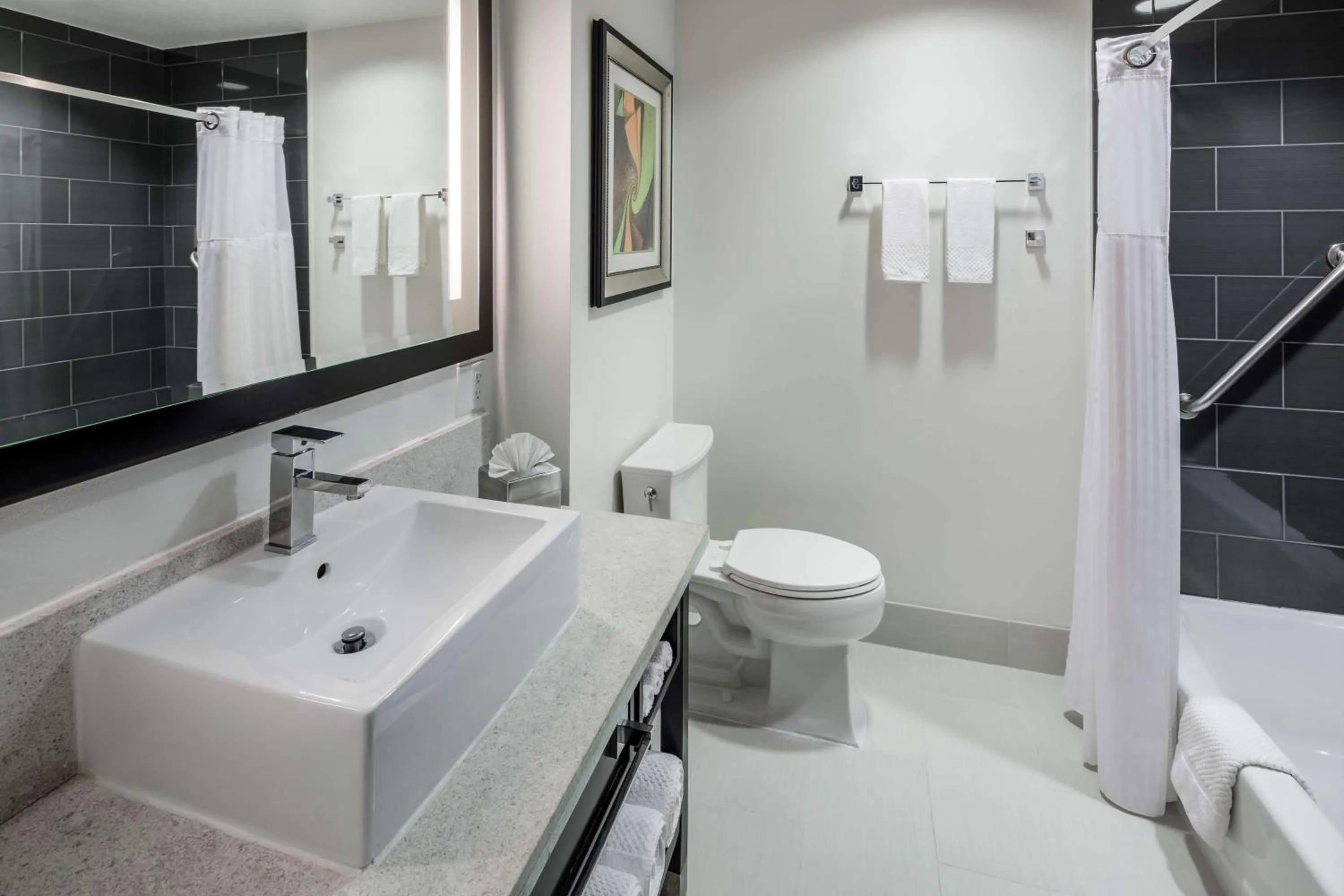 Bathroom in Holiday Inn Sarasota-Airport