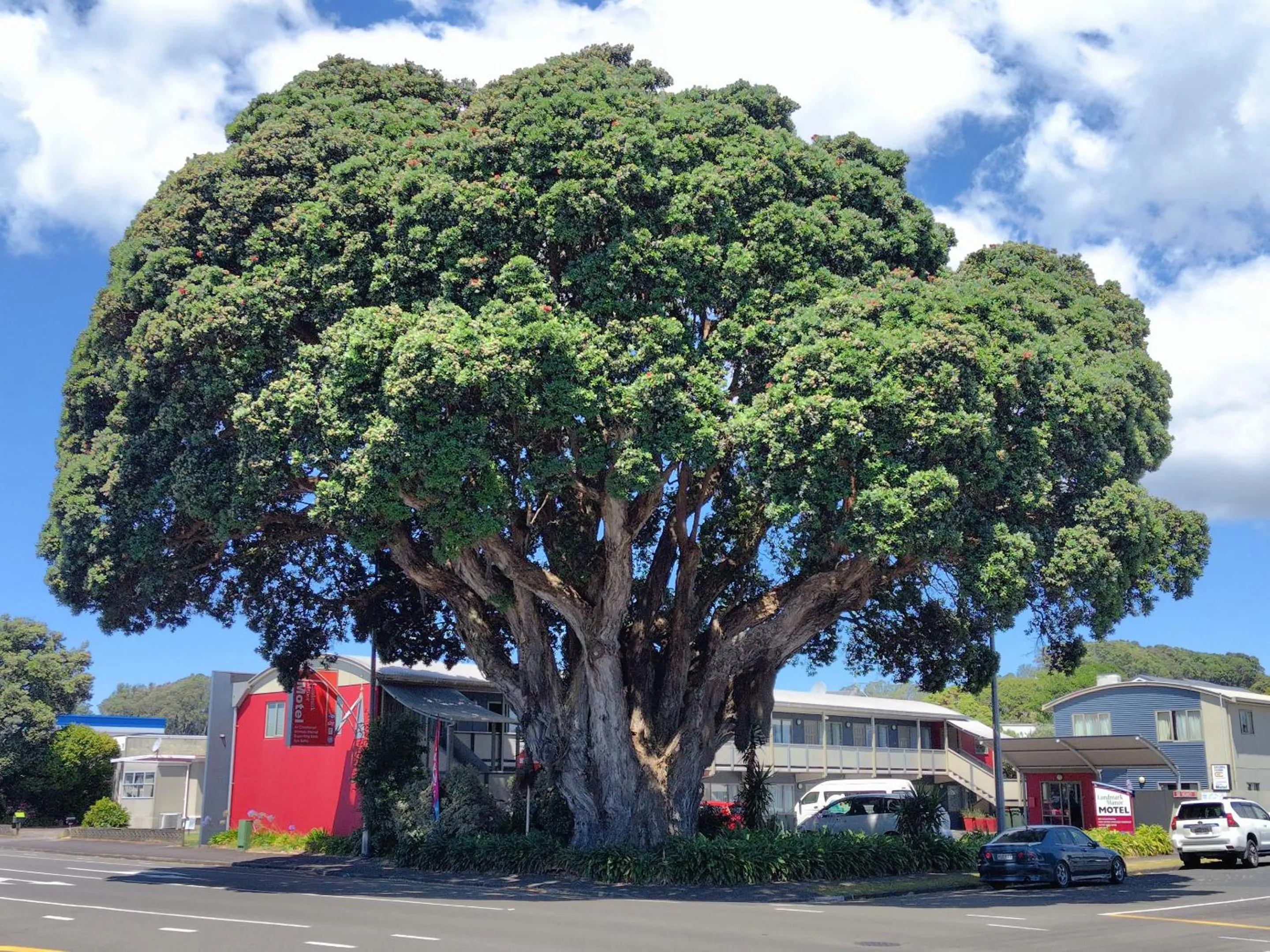 Property building in Landmark Manor