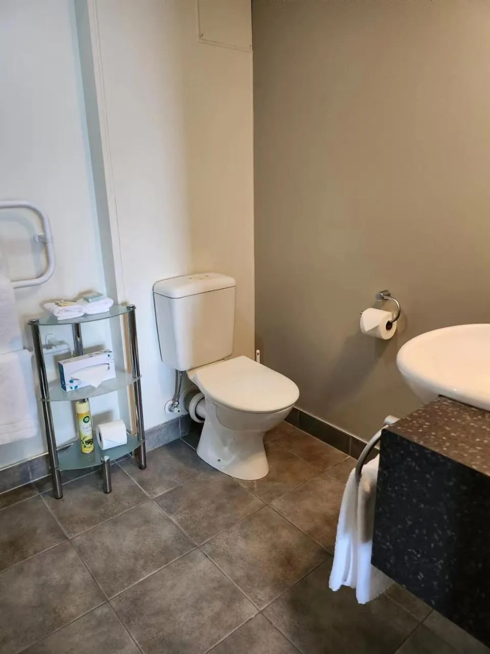 Toilet in Landmark Manor