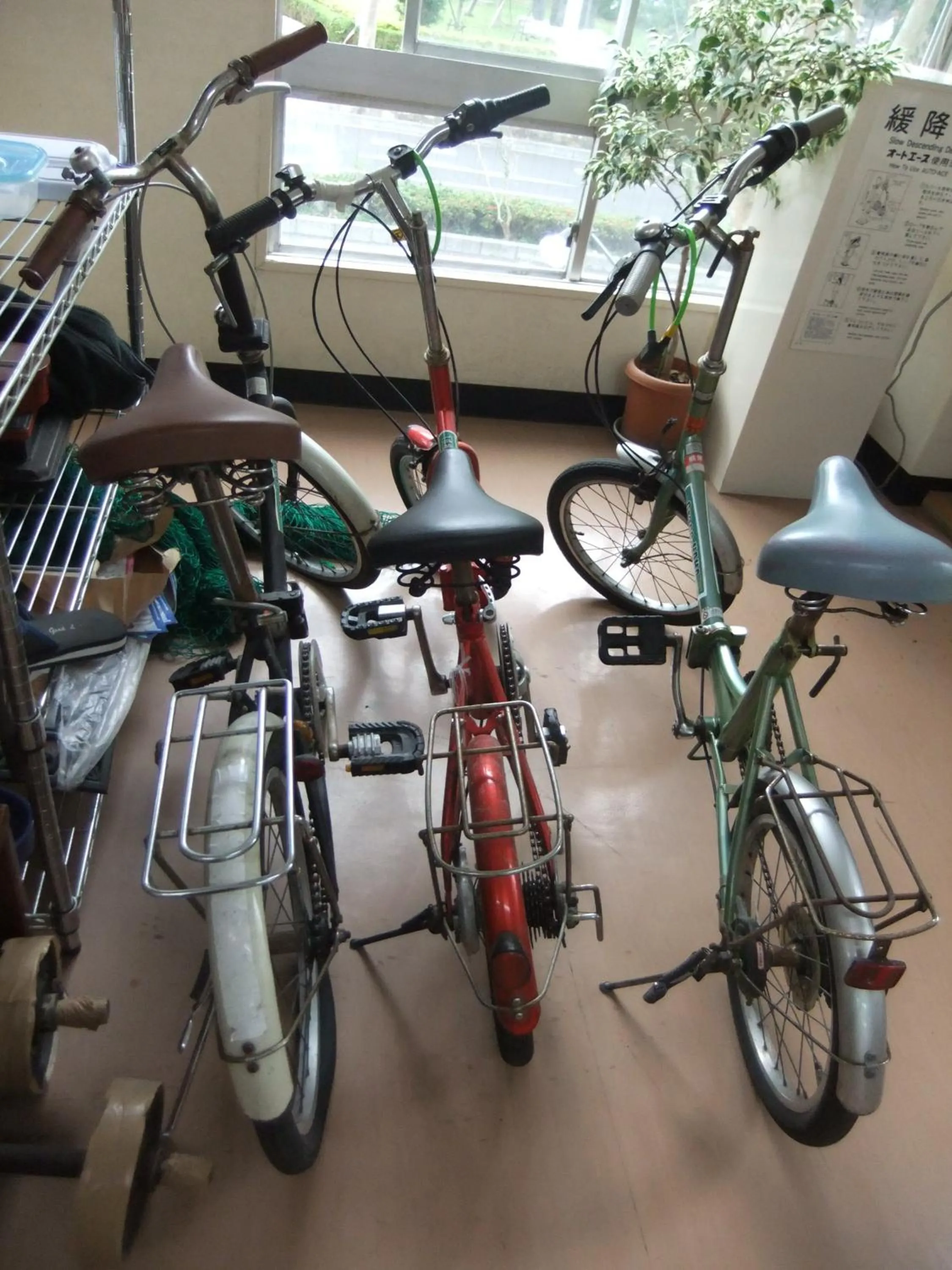 Cycling in Grace Naha