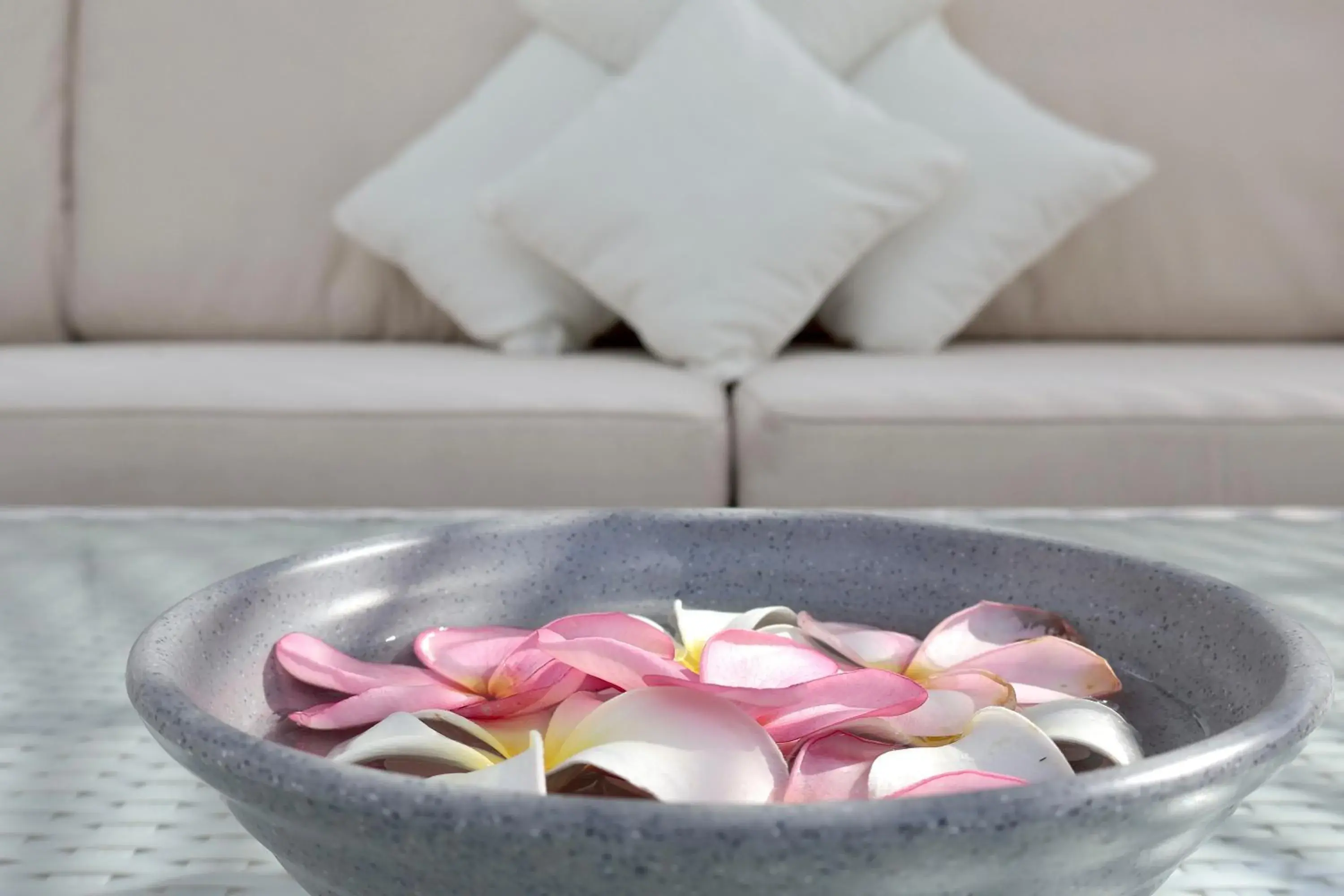 Lounge or bar in Seven Secrets by Hanging Gardens Lounge or bar in Seven Secrets by Hanging Gardens