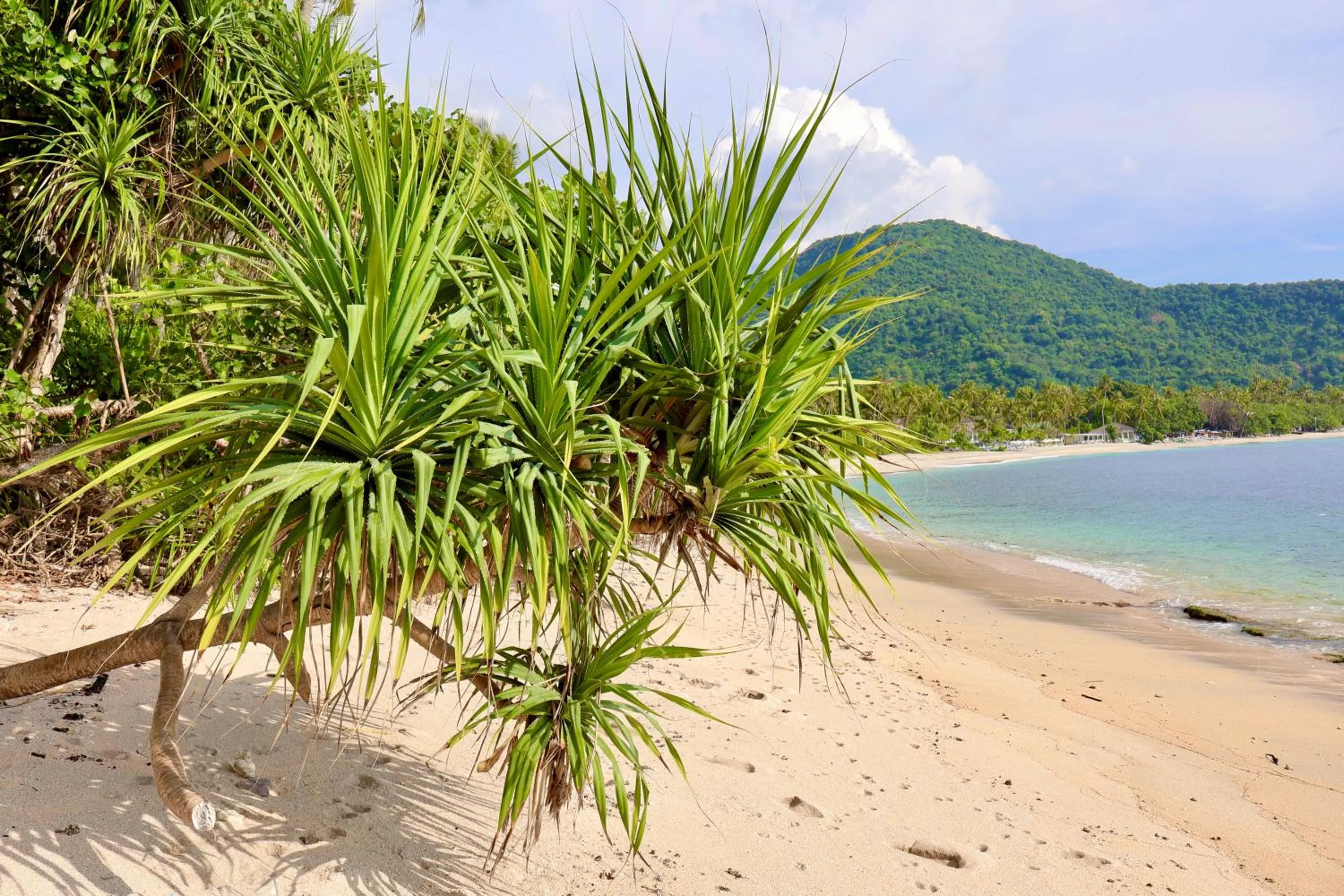 Natural landscape in Seven Secrets by Hanging Gardens