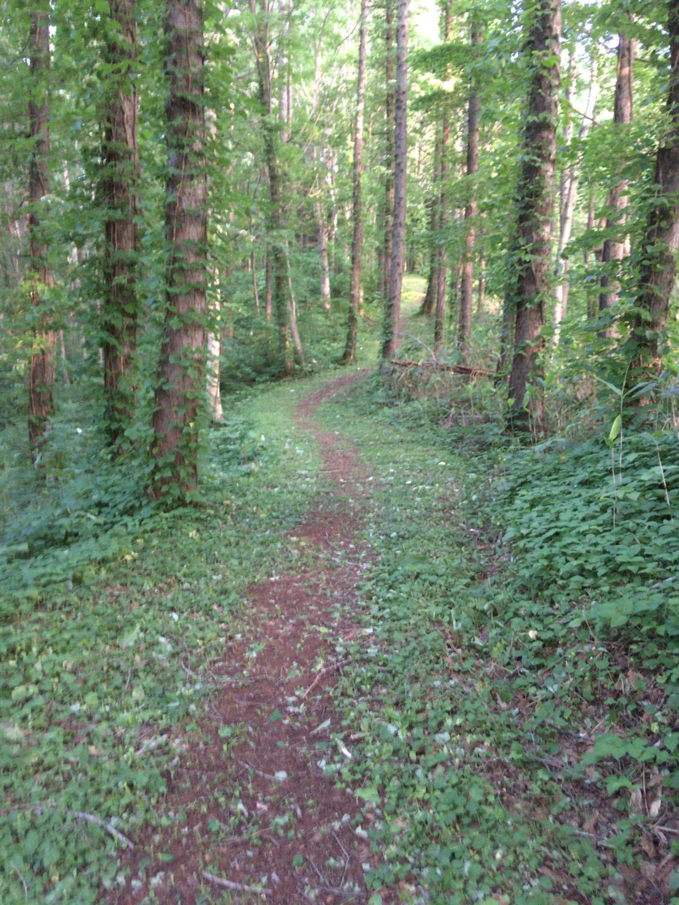 Hiking in Niseko Tabi-tsumugi Backpackers
