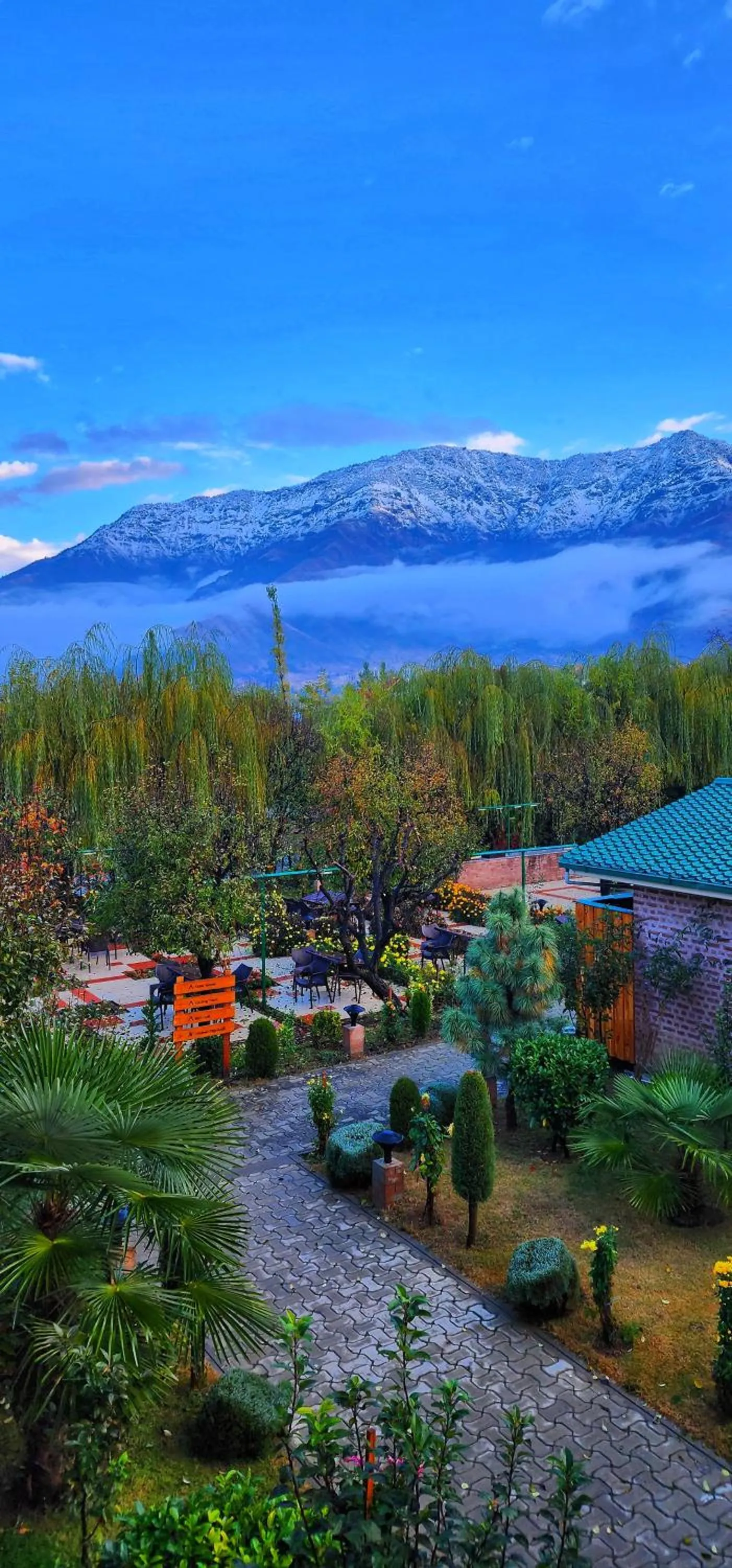 Mountain view in The Orchard Retreat & Spa