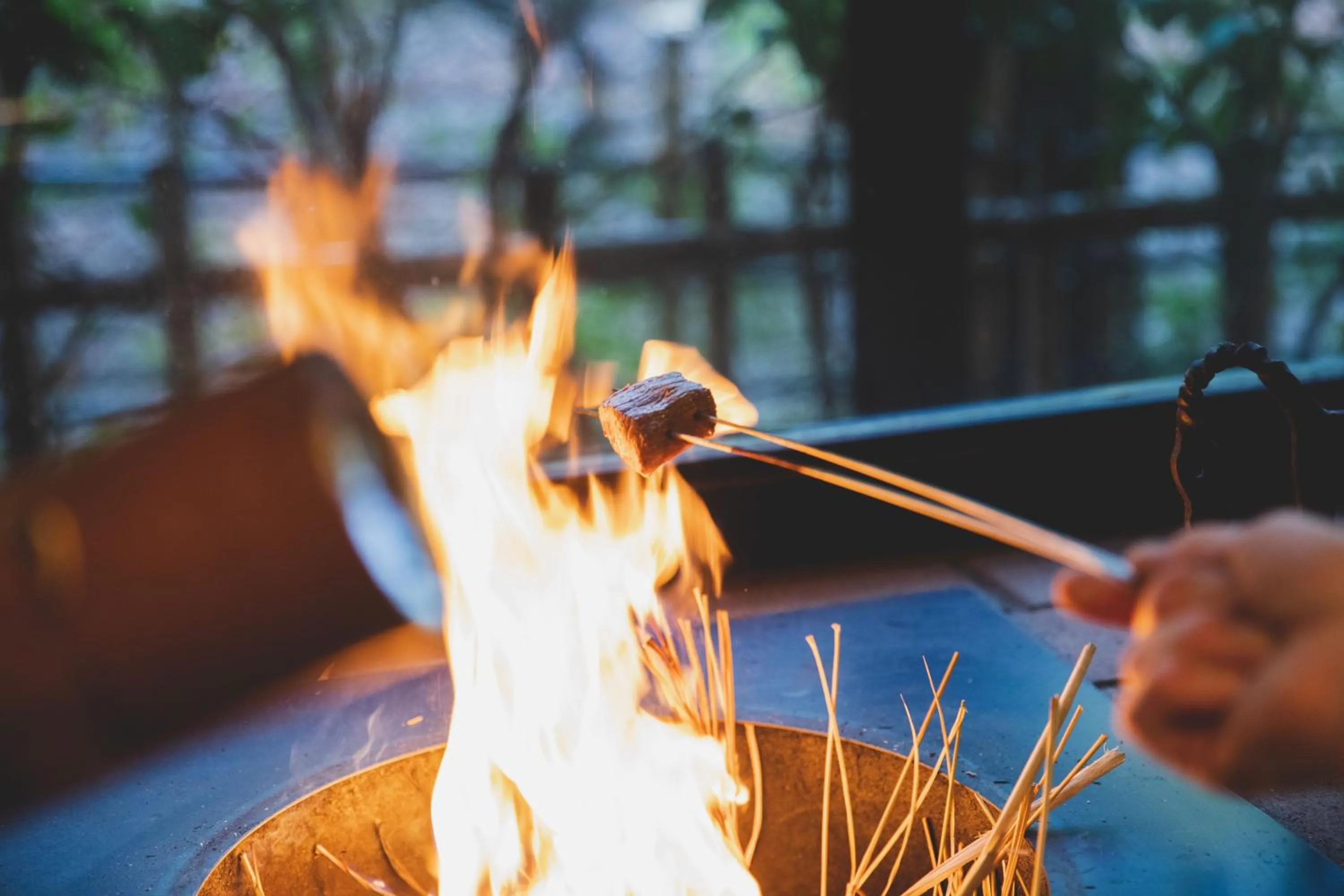 Food close-up in Arima Onsen Tocen Goshobo