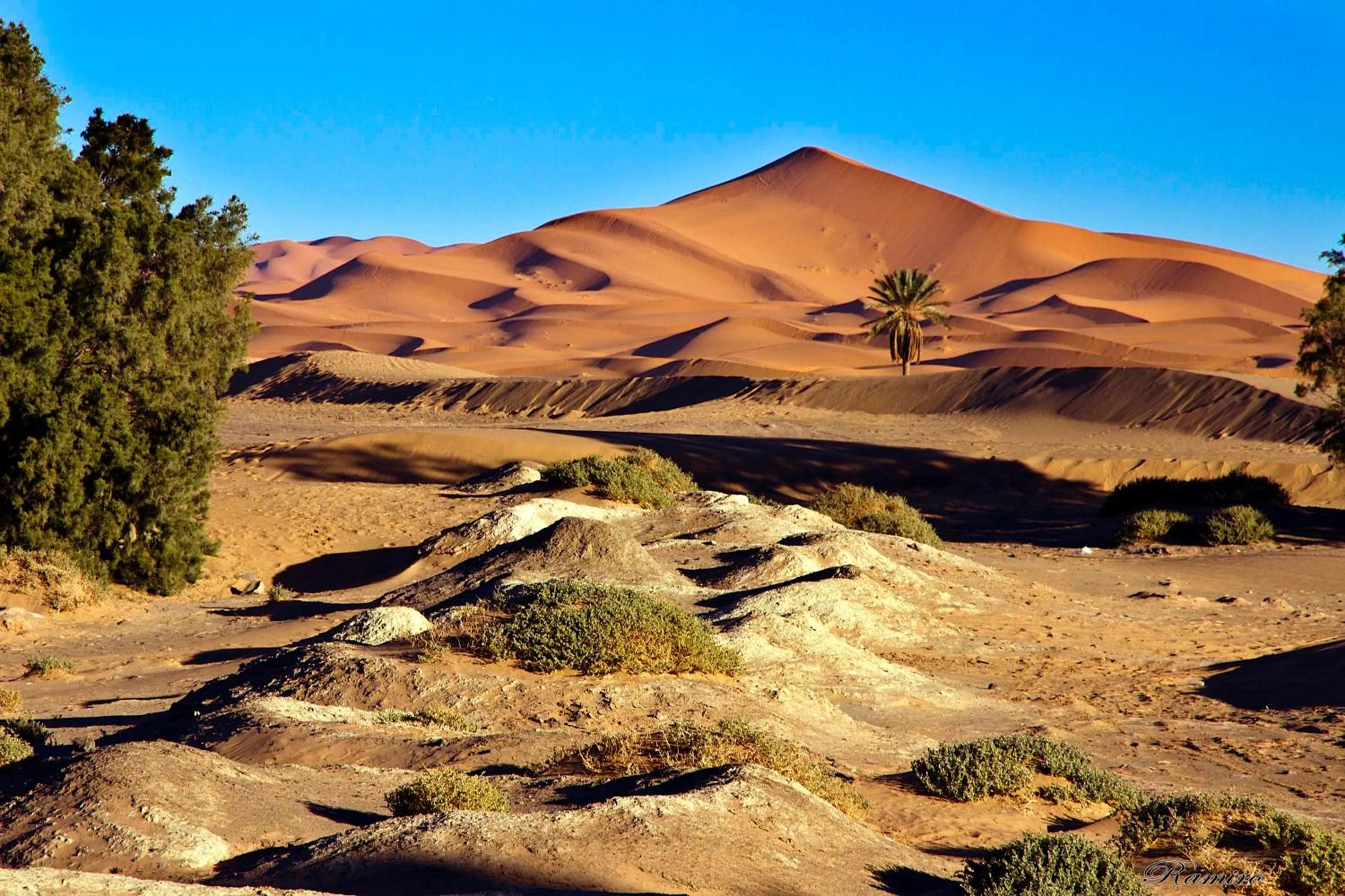 Natural landscape in RiadSuerteloca Merzouga
