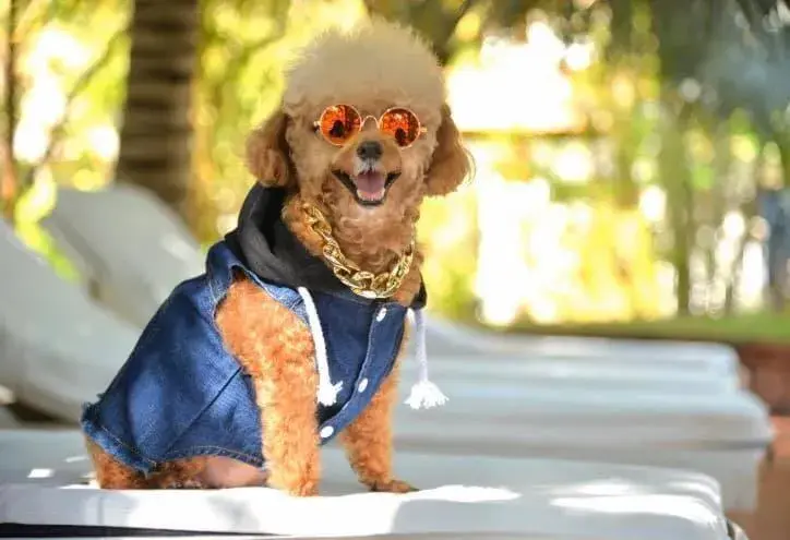 Swimming pool in Full Moon Village Resort Swimming pool in Full Moon Village Resort