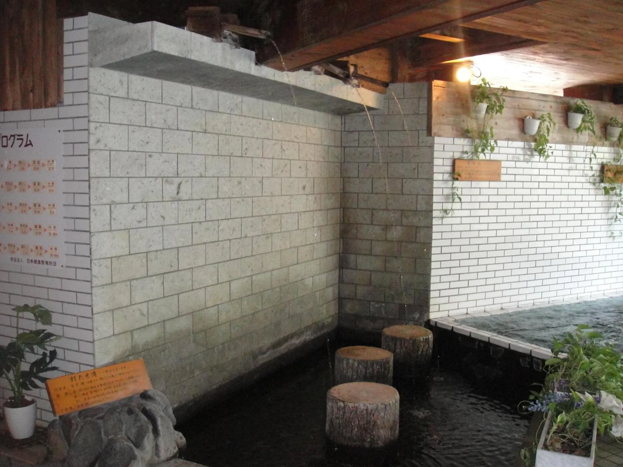 Hot Spring Bath in Kurhaus Ishibashi Ryokan