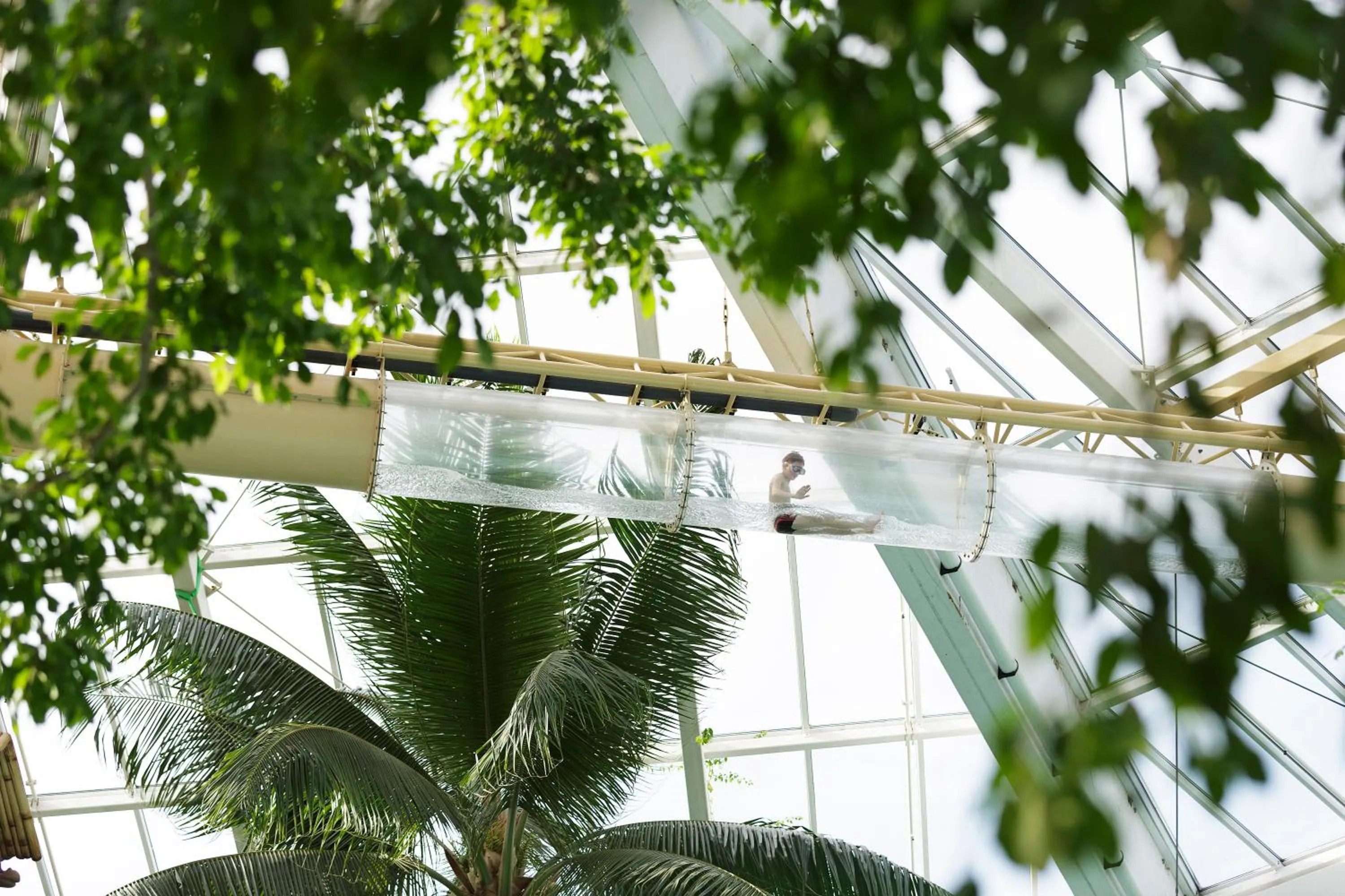 Swimming pool in Center Parcs Vossemeren