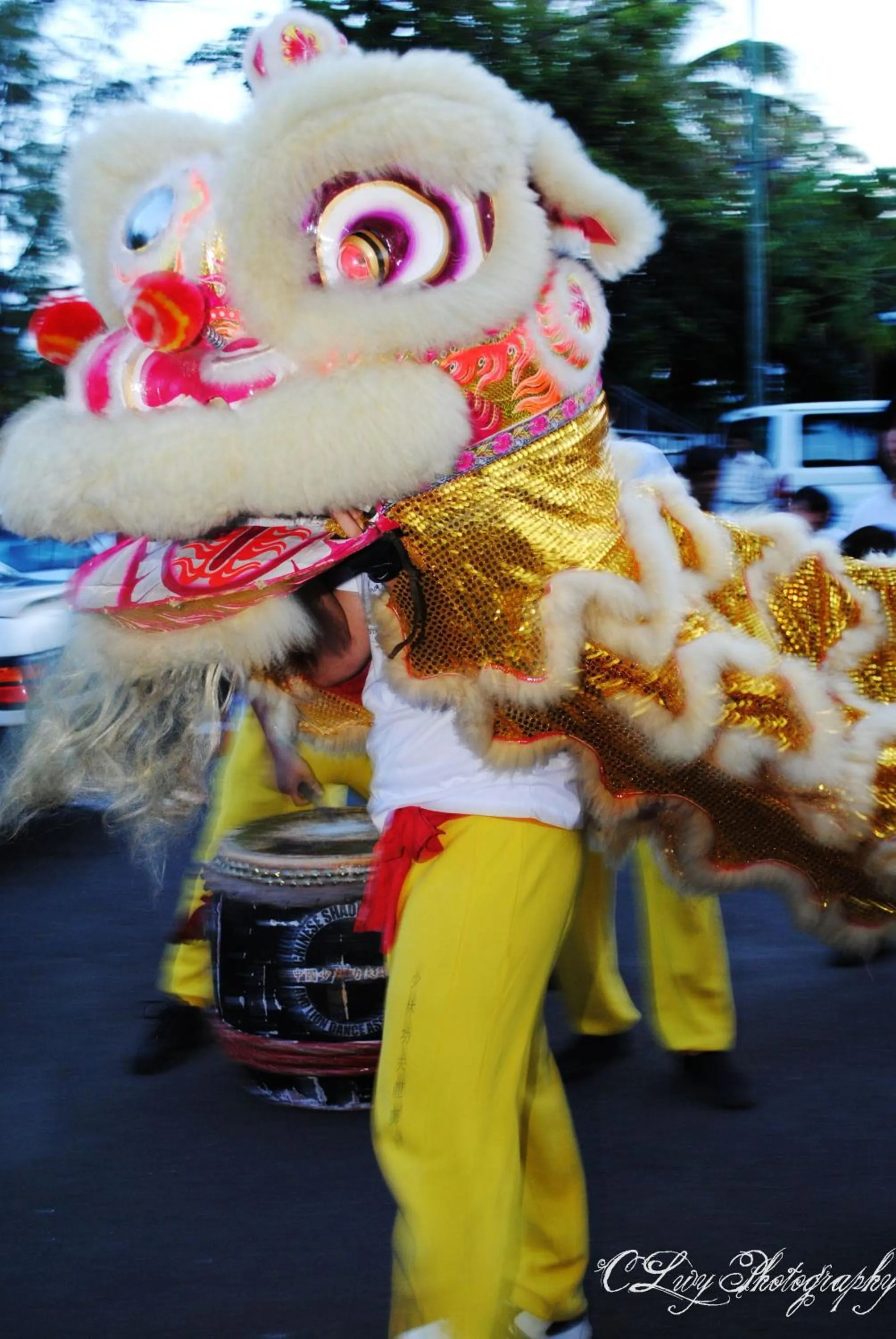 Entertainment in Casa Florida Hotel & Spa