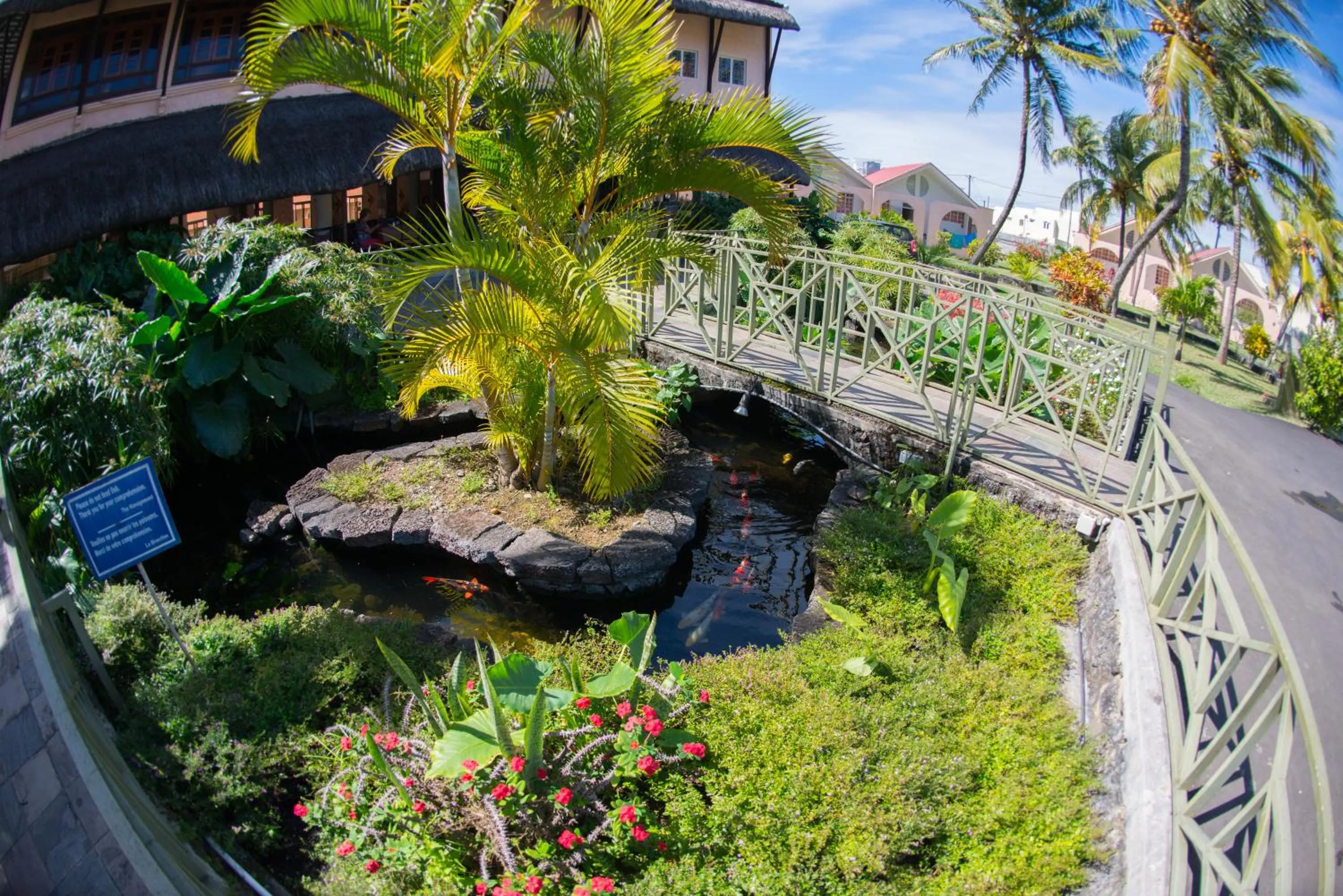 Decorative detail in Casa Florida Hotel & Spa