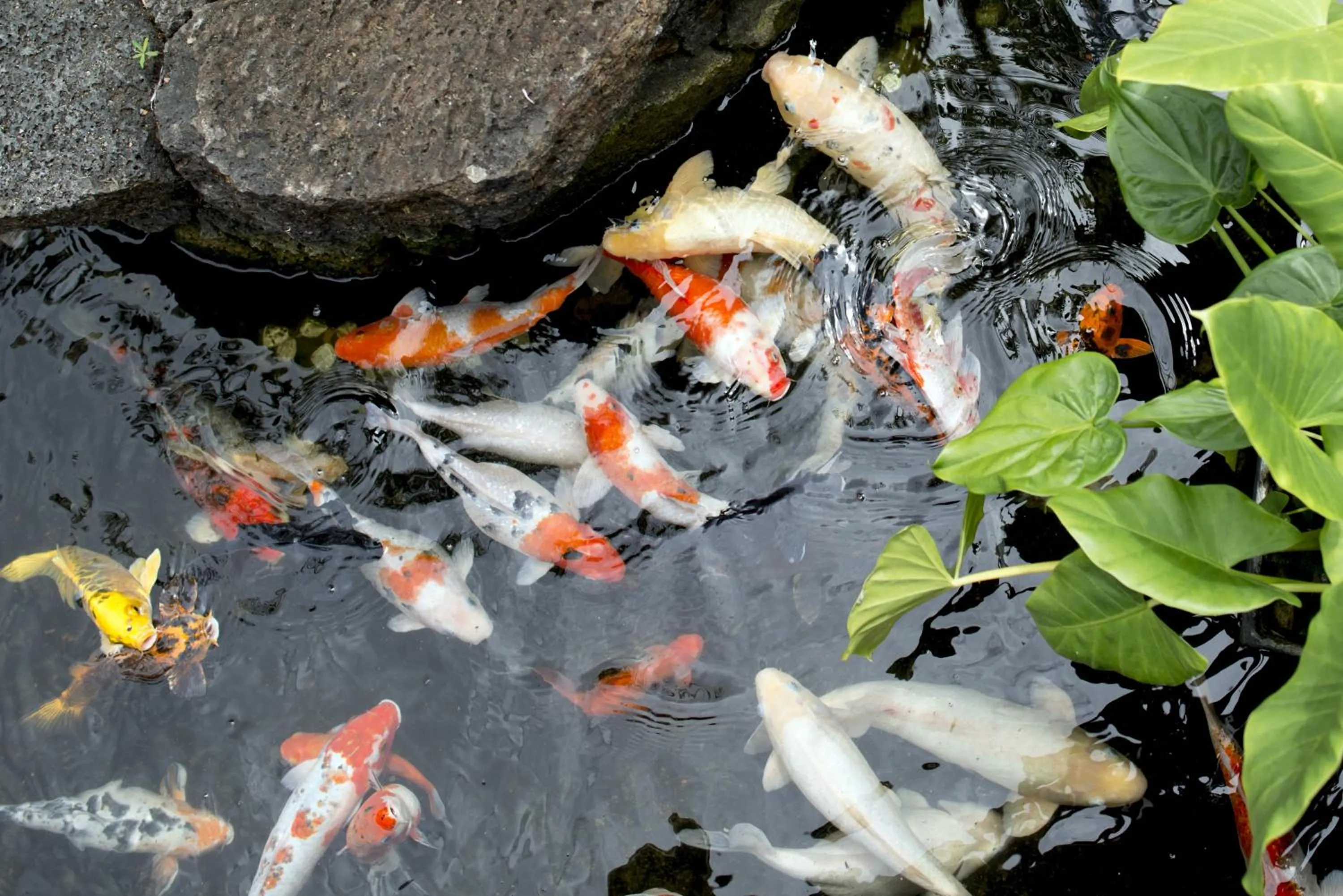 Facade/entrance in Casa Florida Hotel & Spa