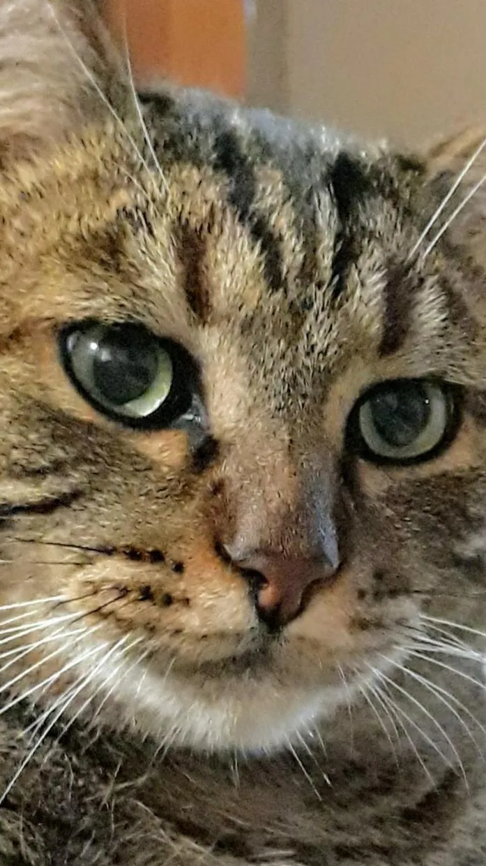 Tenuta Colverano
