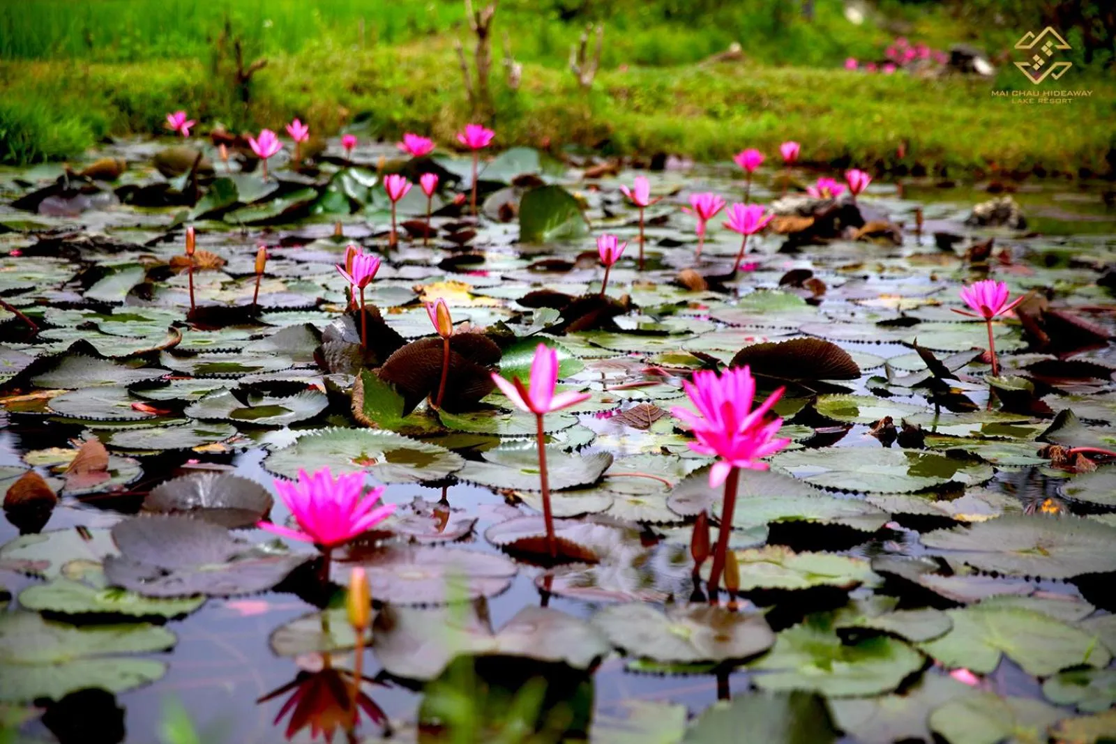 Nearby landmark in Mai Chau Hideaway Lake Resort