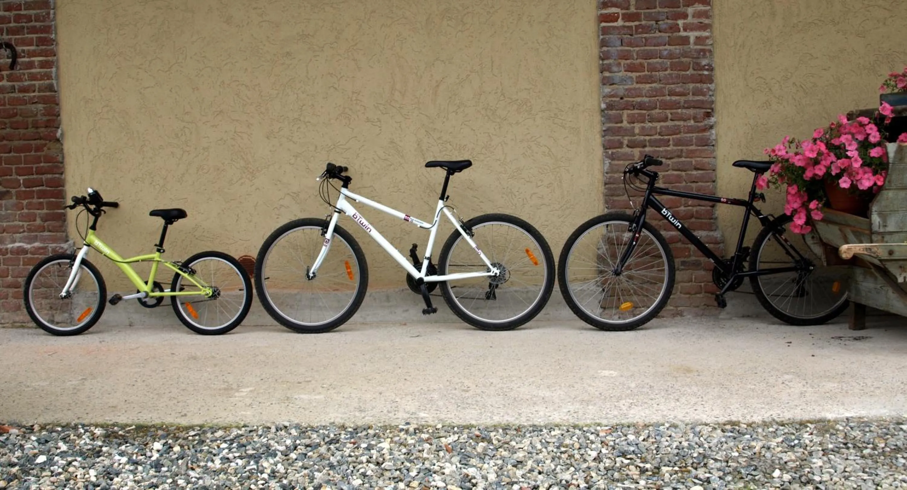 Cycling in Borgo Ramezzana Country House