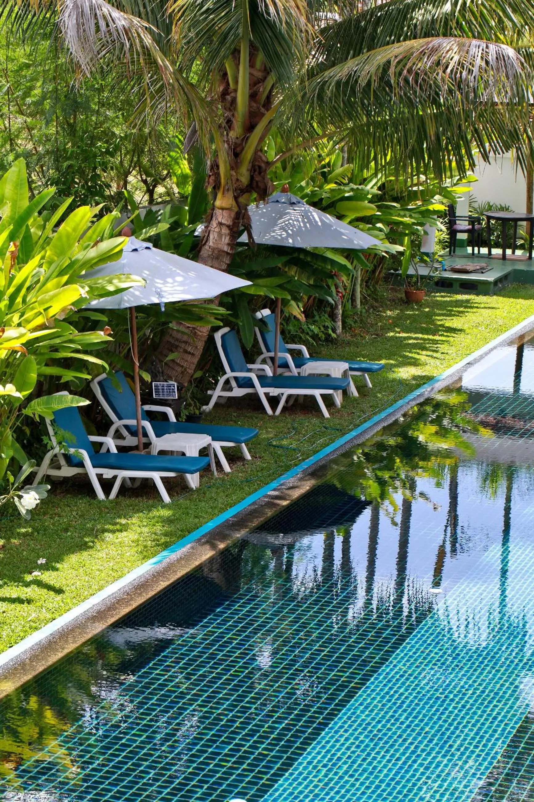 Pool view in Tea Tree Boutique Resort