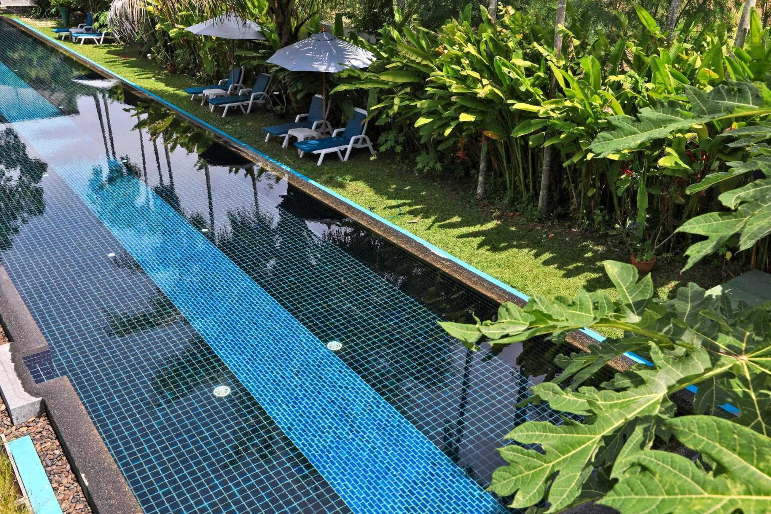 Pool view in Tea Tree Boutique Resort
