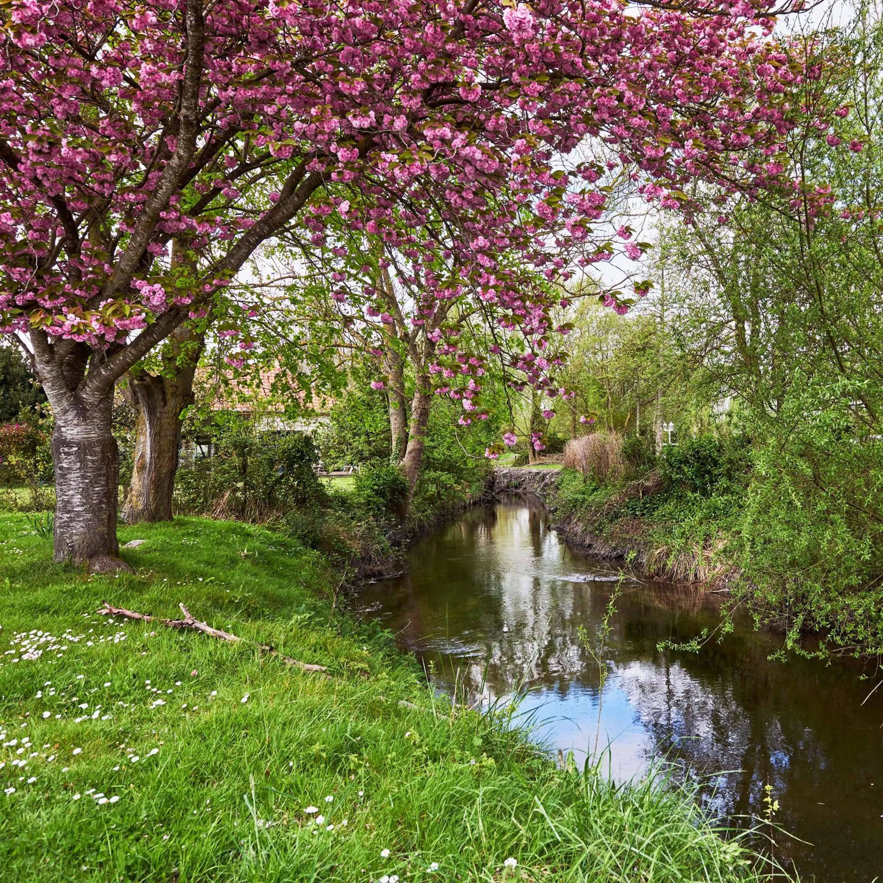 Hotel Spa Les Saules