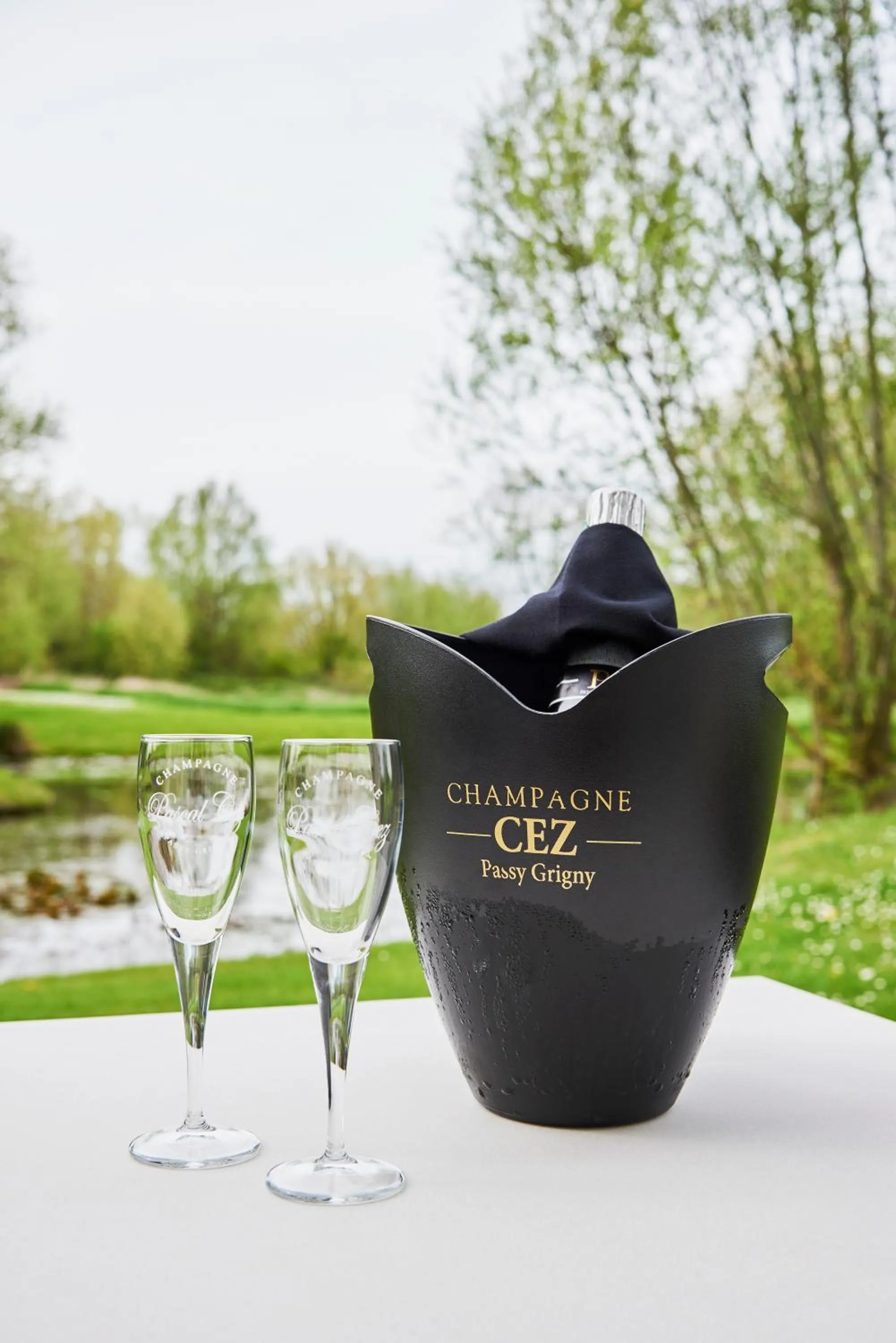 Hotel Spa Les Saules