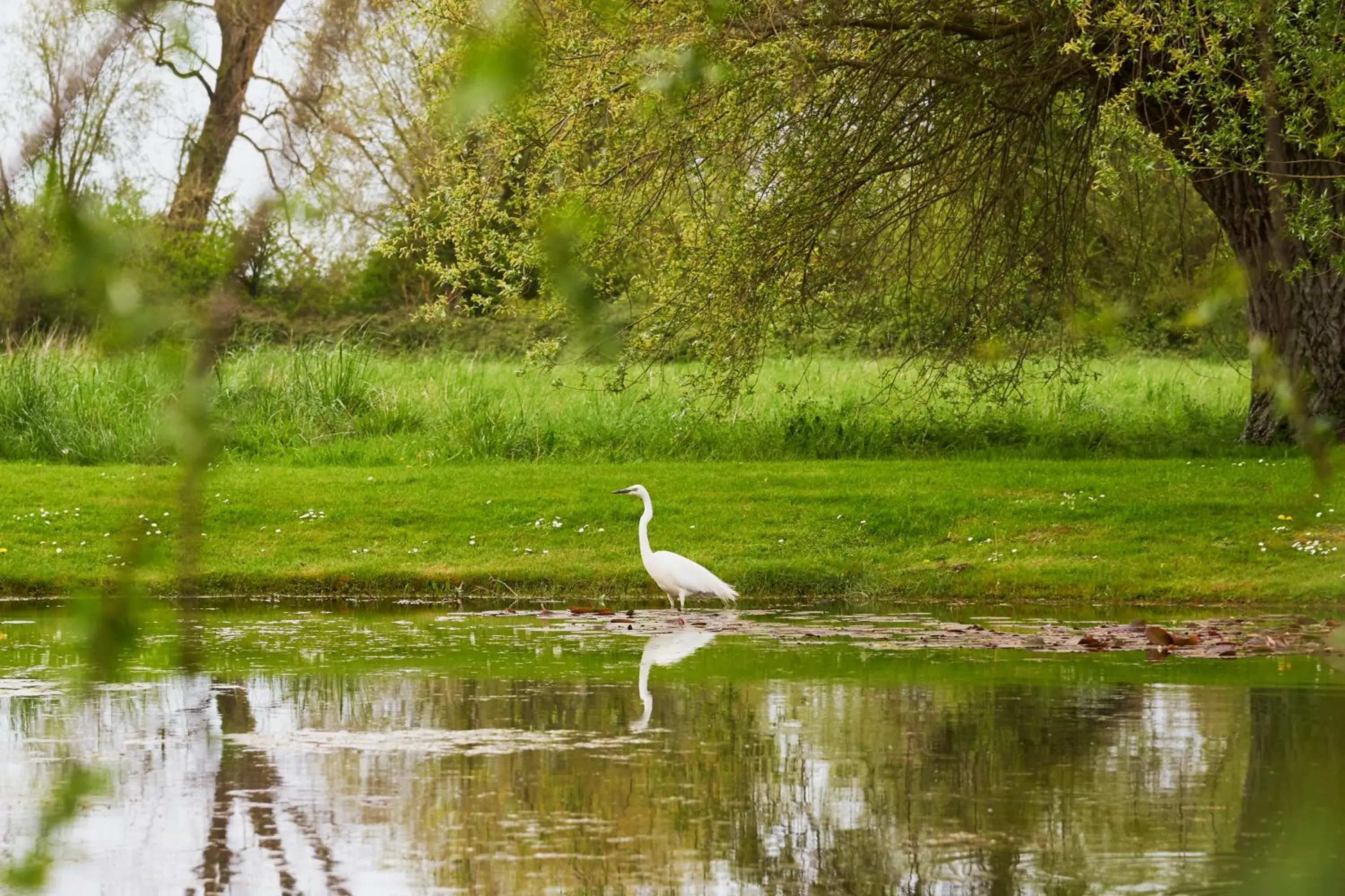 Hotel Spa Les Saules Hotel Spa Les Saules