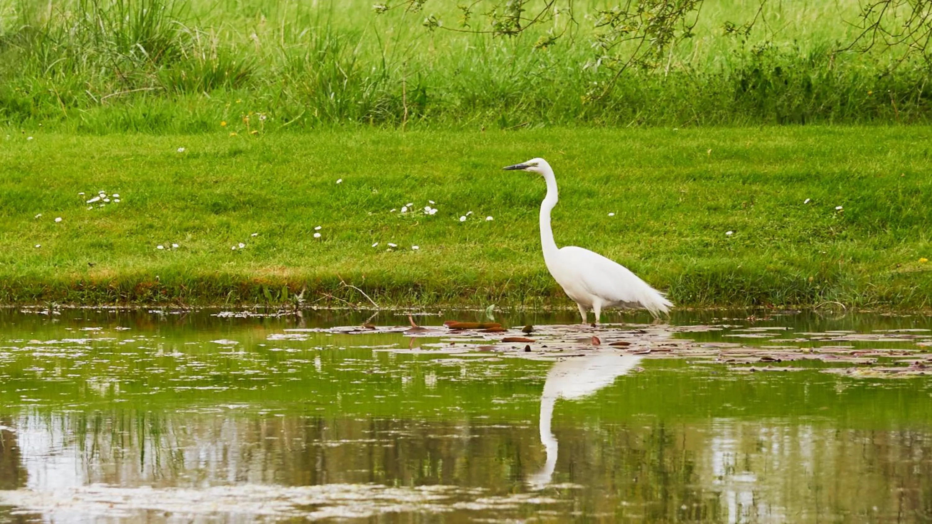 Hotel Spa Les Saules