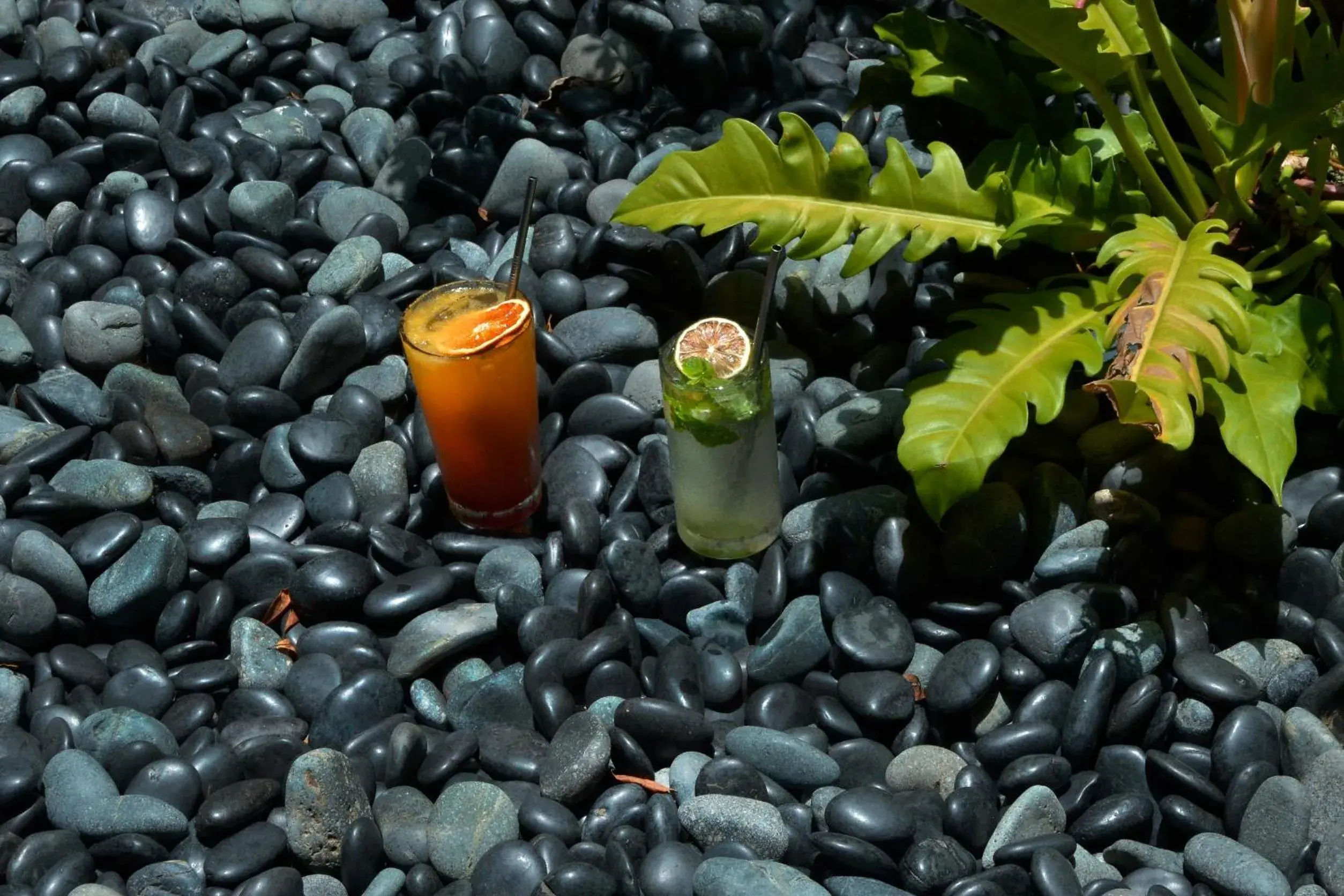 Lounge or bar in SOF Hotel Lounge or bar in SOF Hotel