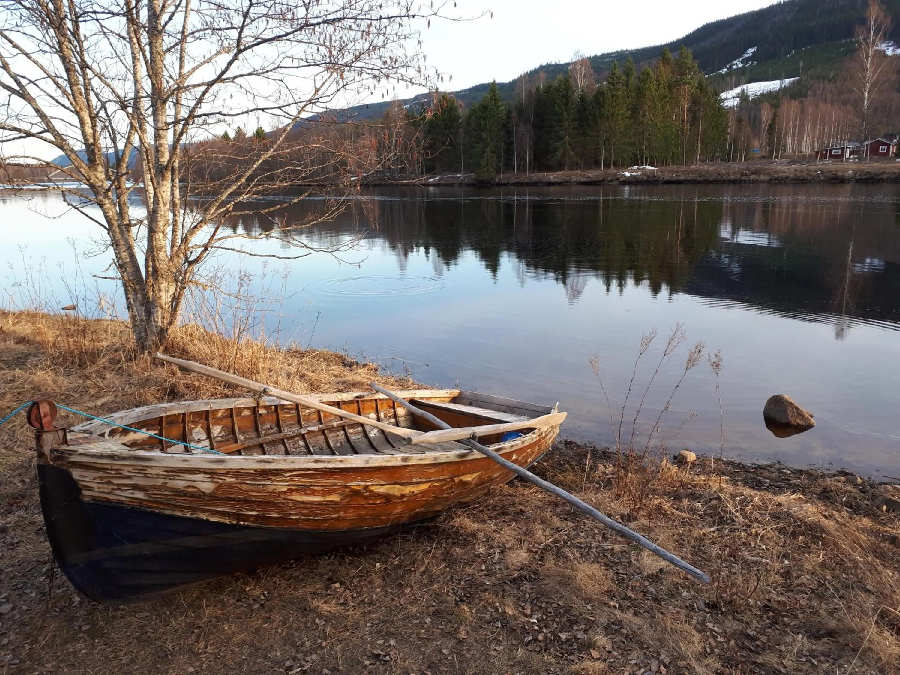 Natural landscape in Wärdshuset Klarälvdalen