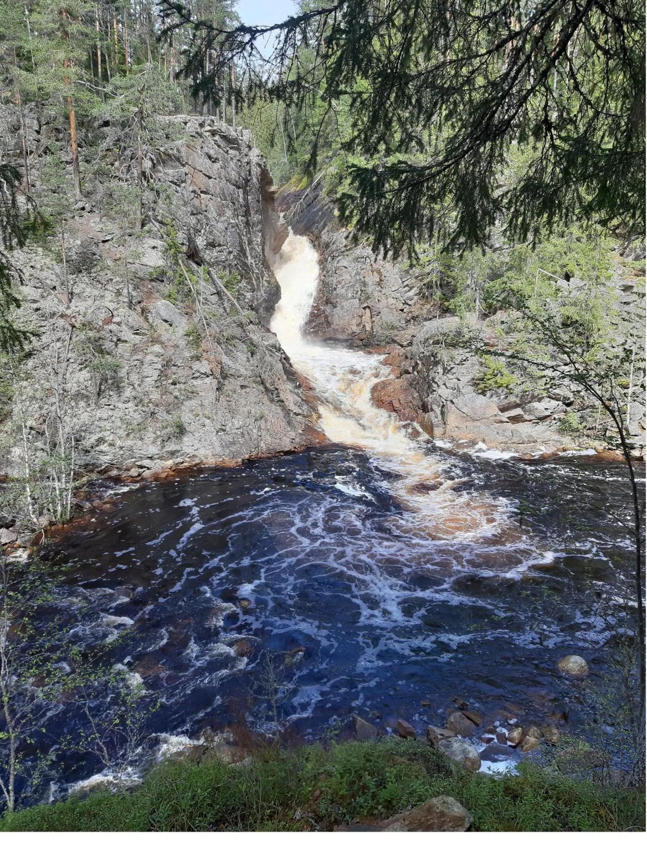 Natural landscape in Wärdshuset Klarälvdalen