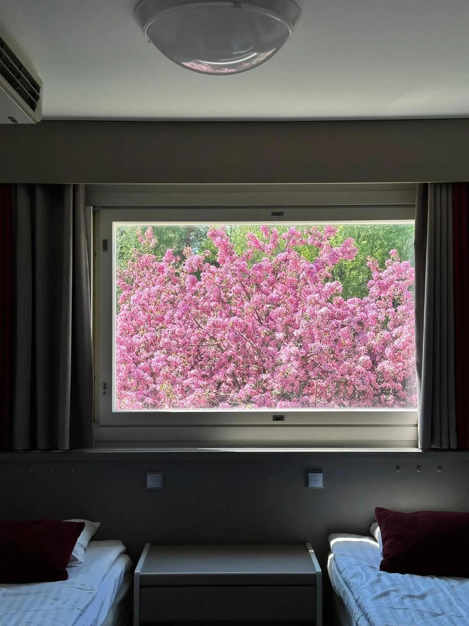 Garden, Bed in Hotel Nuuksio - Conferences and events