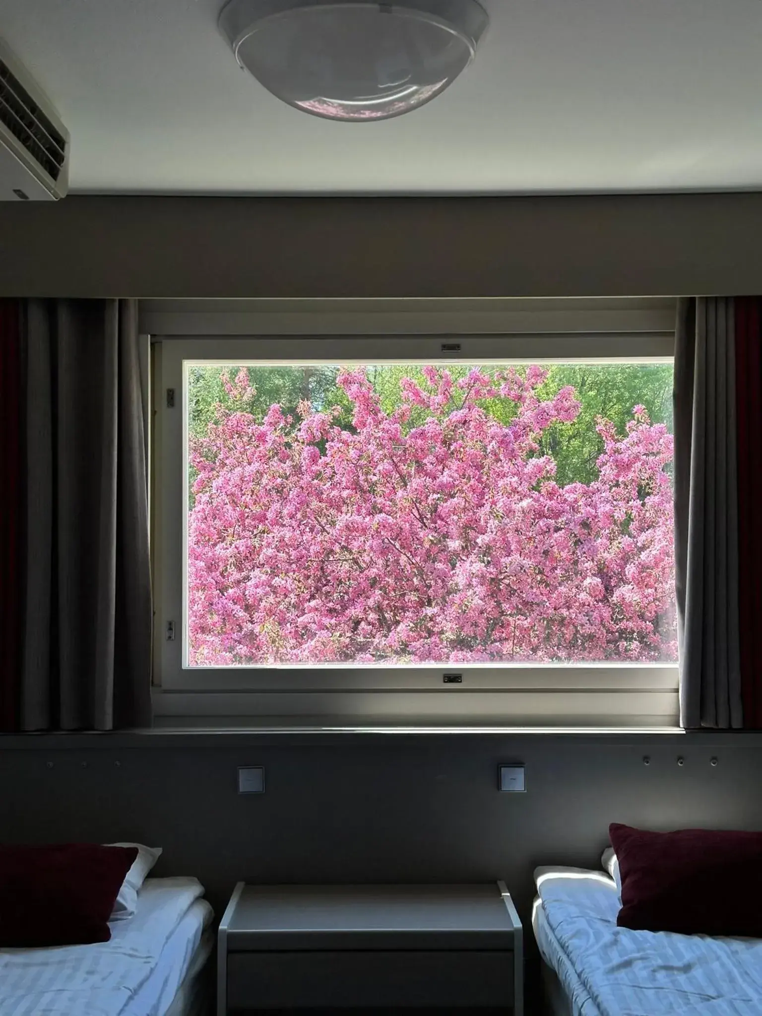 Standard Twin Room in Hotel Nuuksio - Conferences and events Standard Twin Room in Hotel Nuuksio - Conferences and events