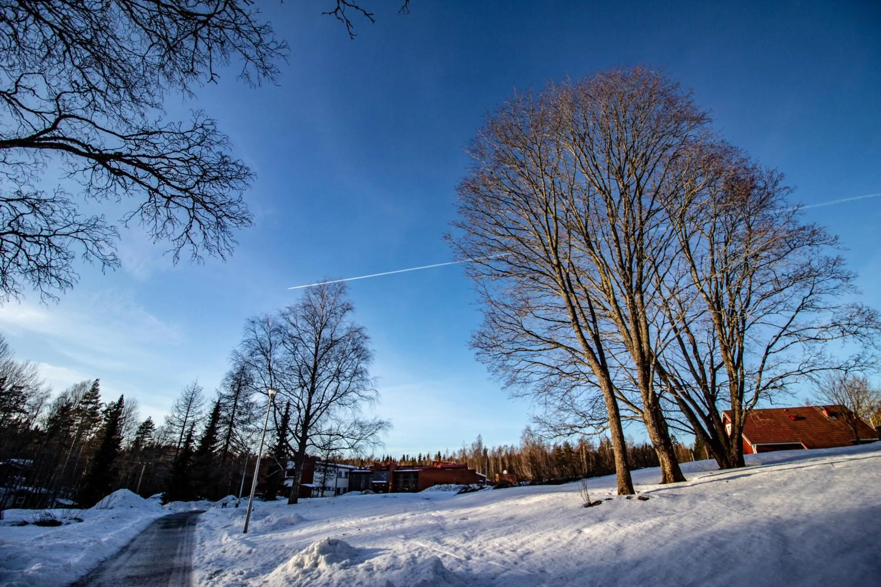 Winter in Hotel Nuuksio - Conferences and events