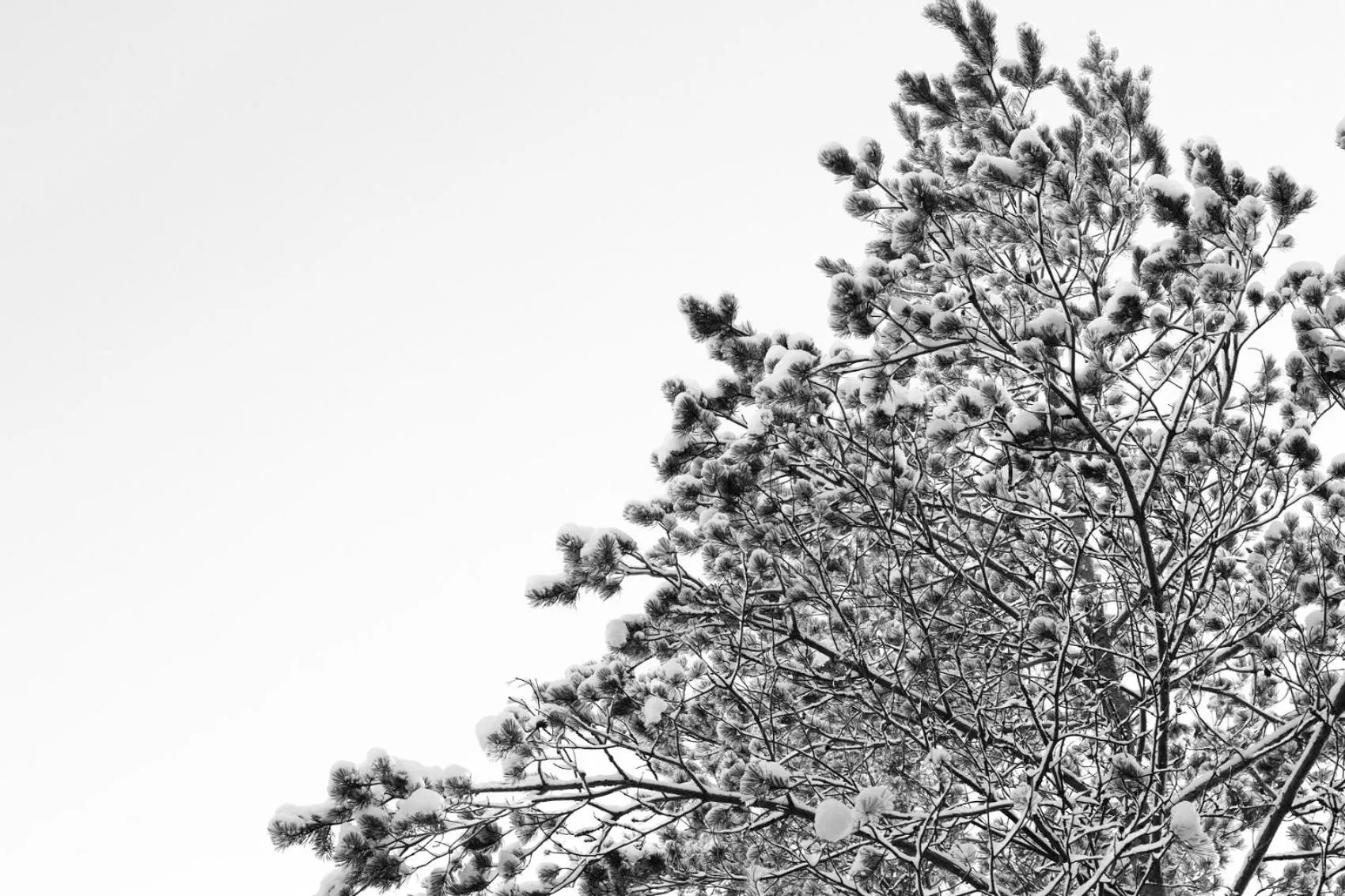 Neighbourhood in Hotel Nuuksio - Conferences and events