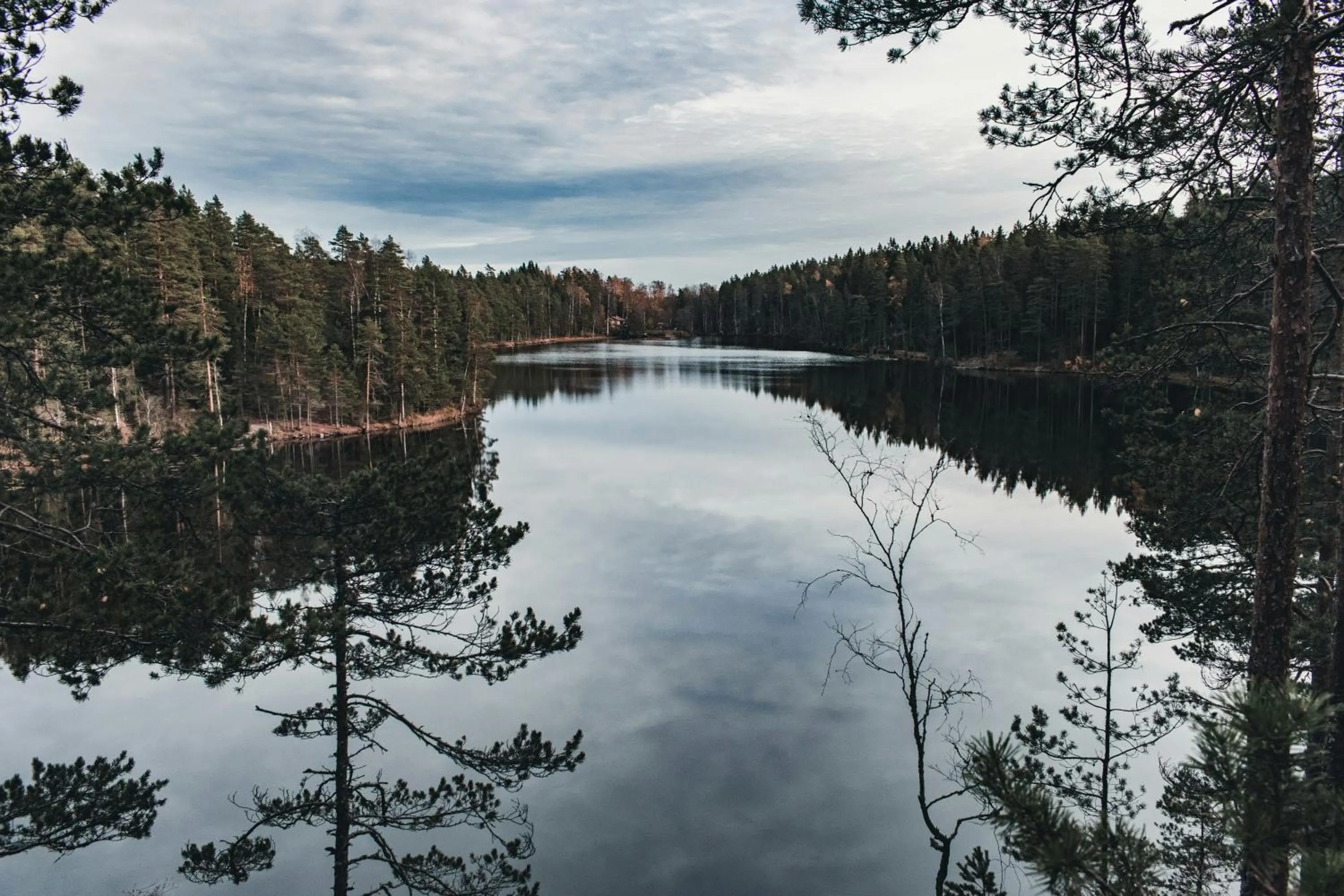 Hiking in Hotel Nuuksio - Conferences and events
