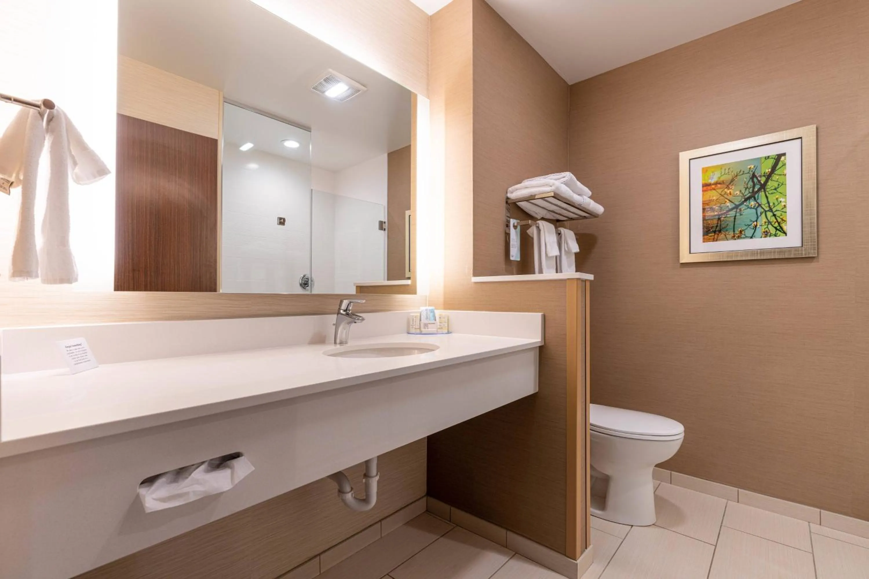 Bathroom in Fairfield Inn & Suites By Marriott Somerset, PA