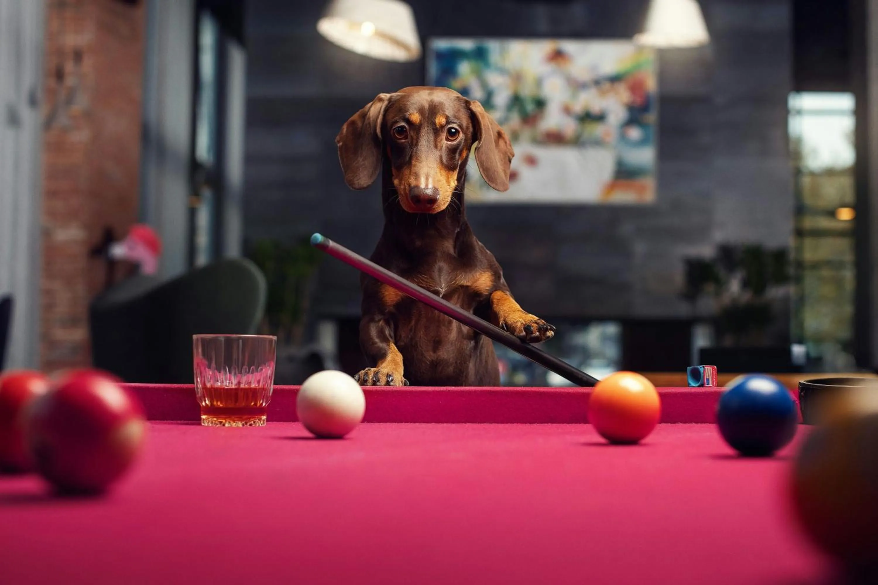 Swimming pool in Moxy Tbilisi