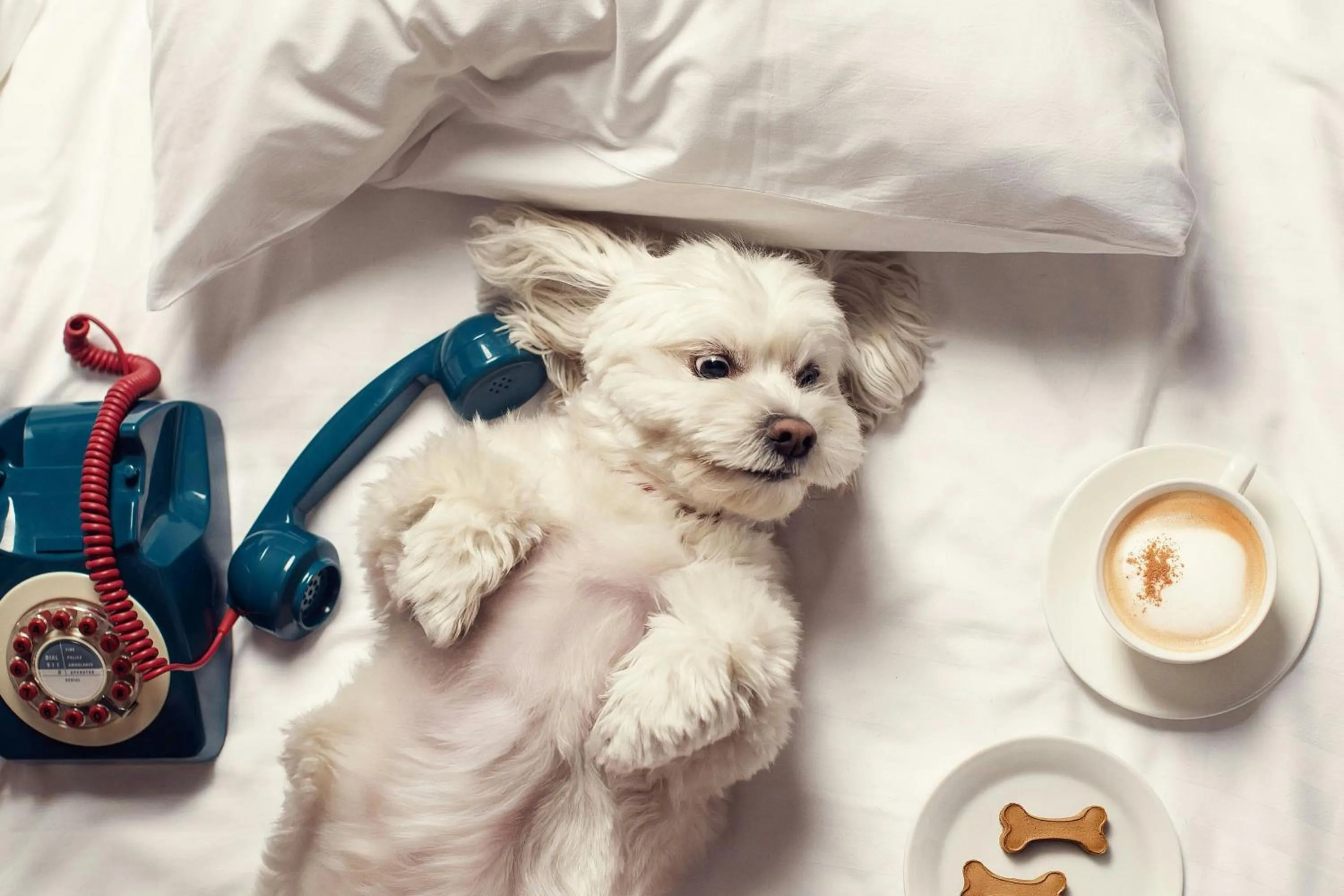 Other in Moxy Tbilisi