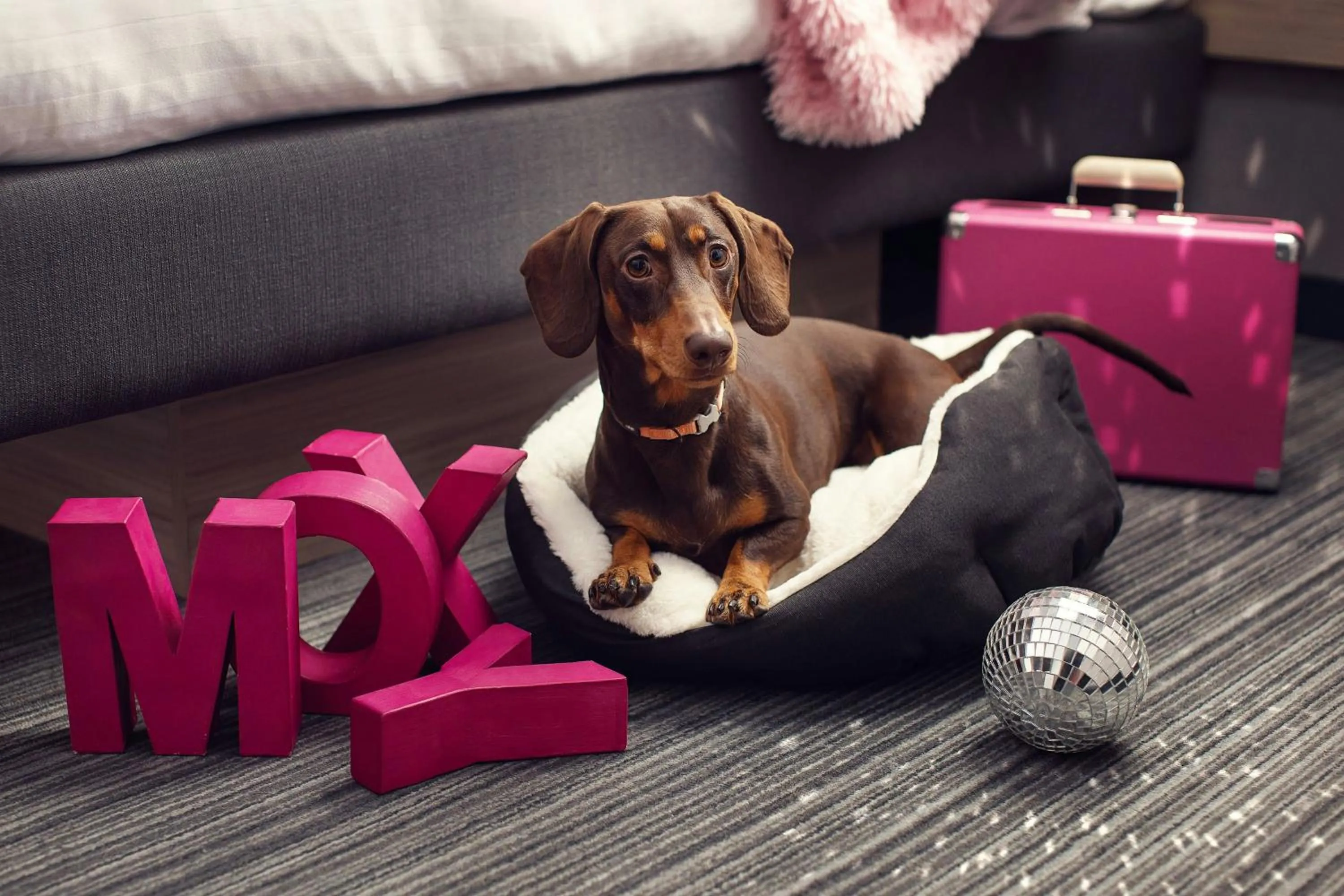 Other in Moxy Tbilisi