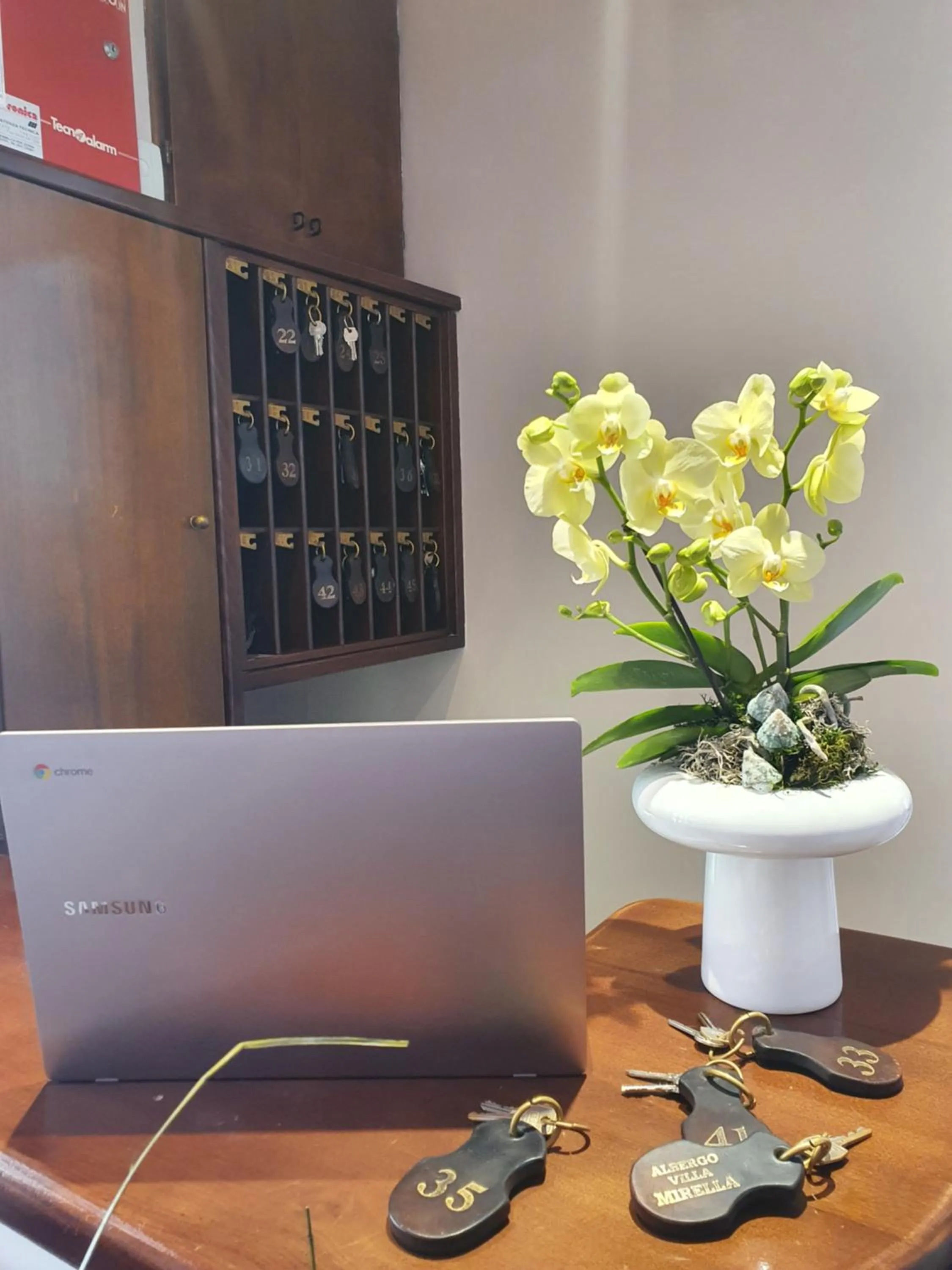 Villa Mirella-NUOVA GESTIONE